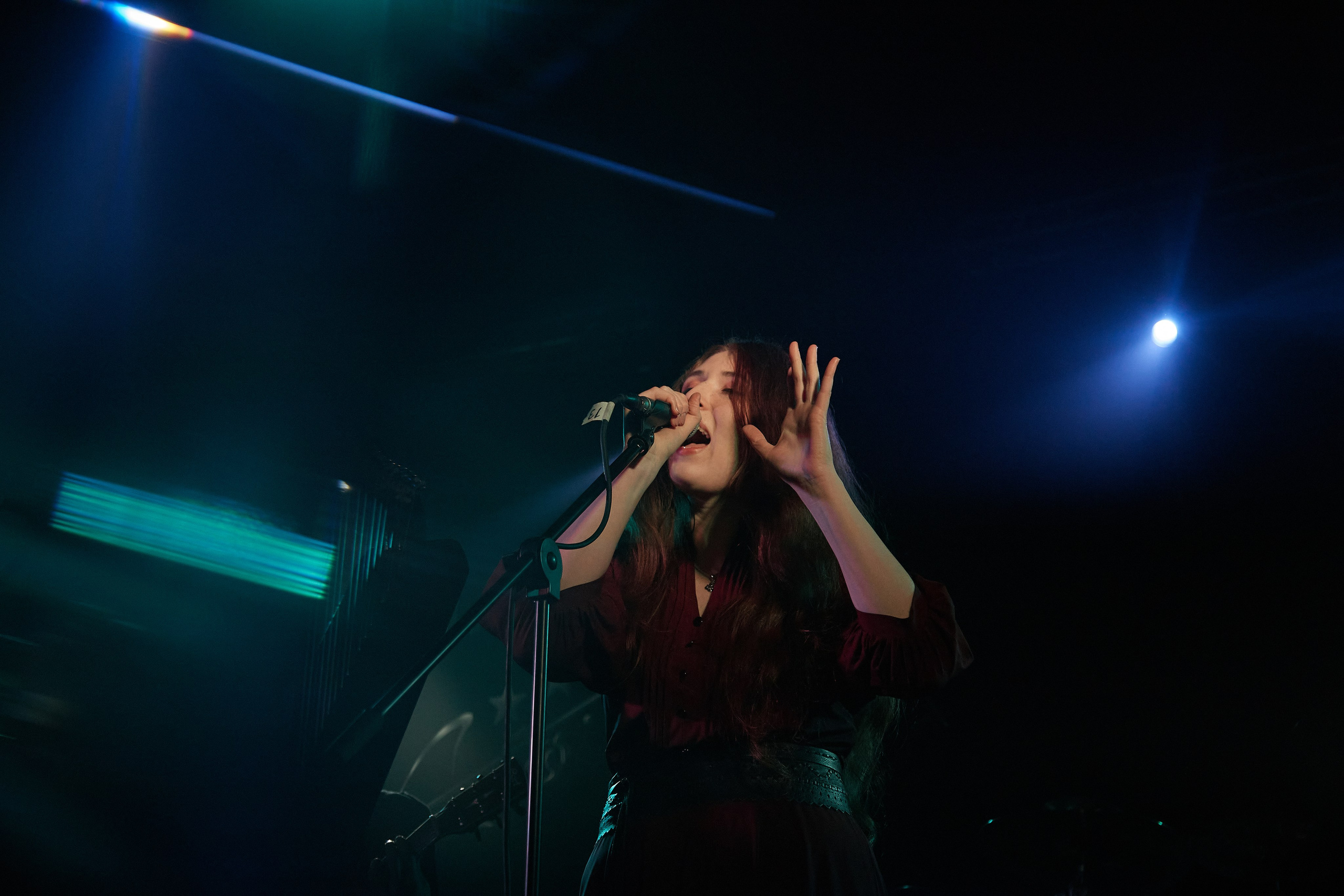 Репортаж концерта «Земля Легенд». Екатерина Осипова — профессиональный фотограф в Москве