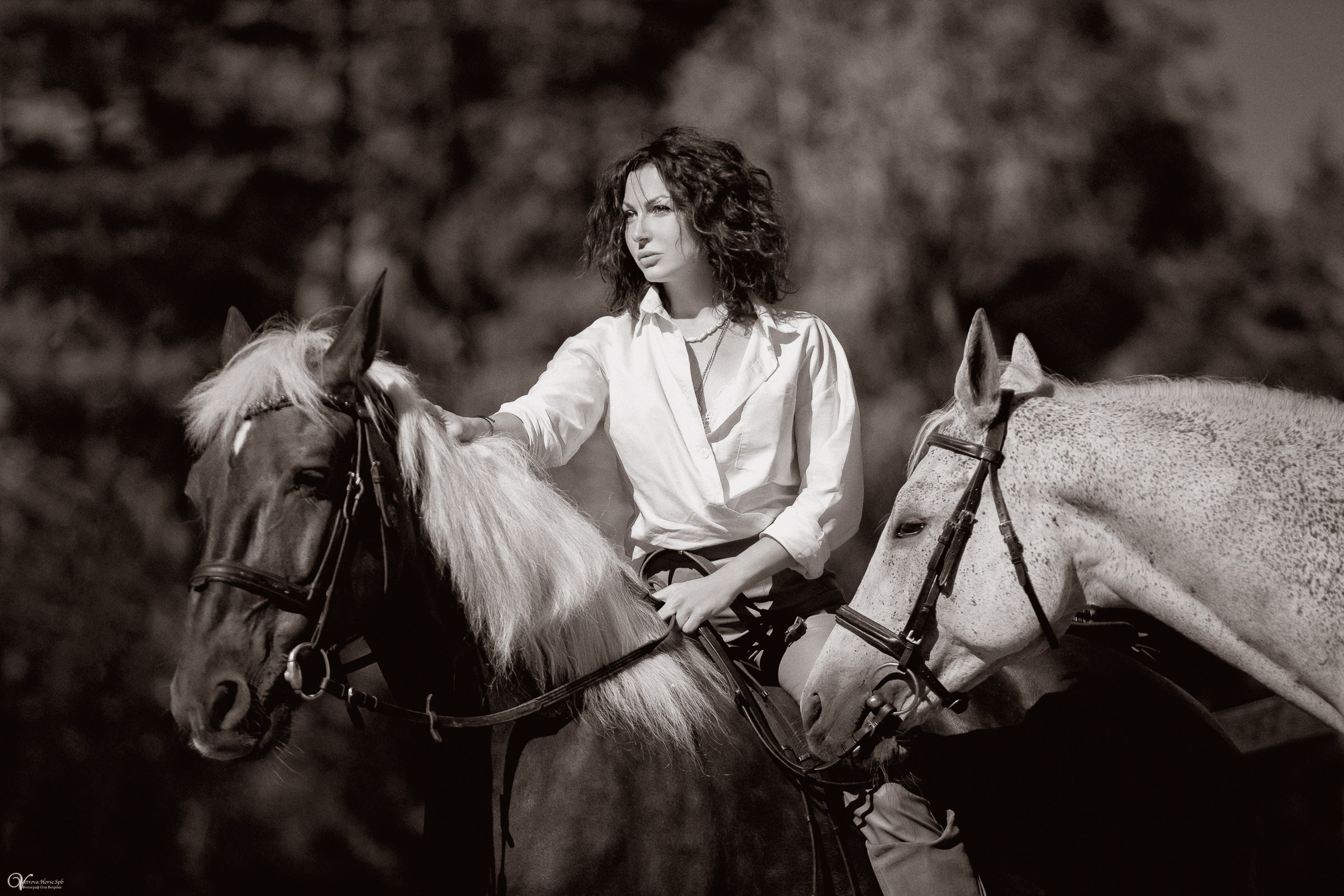 Фотосессия с лошадьми в катри-стиле. Фотограф женский и мужской портрет Санкт-Петербург