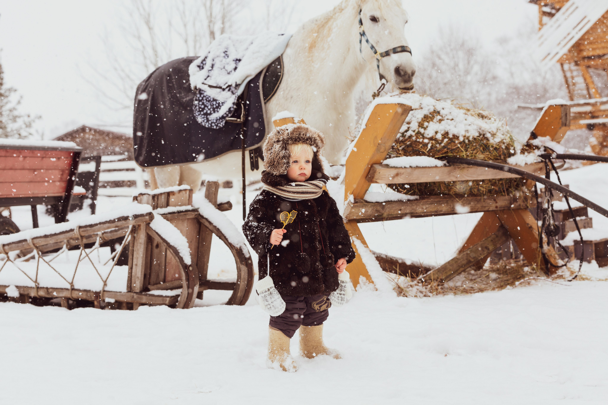 Зимняя сказка. Предметный и репортажный фотограф в Санкт-Петербурге Александр Е
