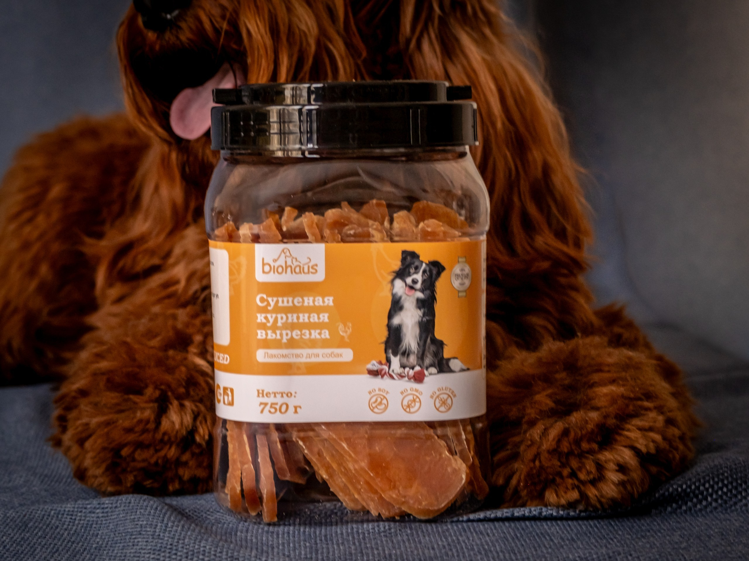 Съёмка для рекламы лакомства для собак (для Марии)!. Зоофотограф, фотограф животных в Москве и области Дина Дамоцева