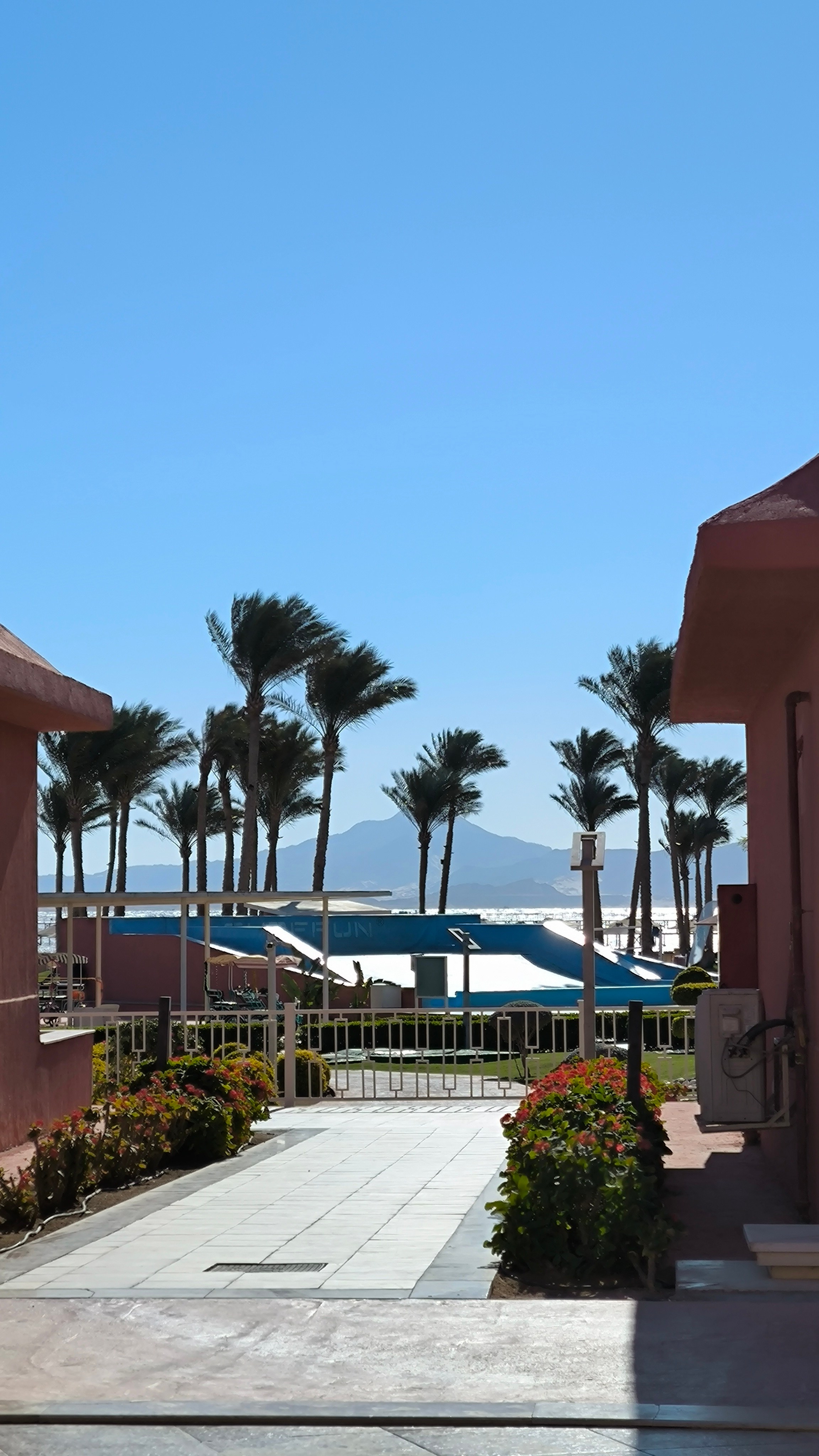 Шарм-Эль-Шейх. Светлана Иванова - профессиональный фотограф