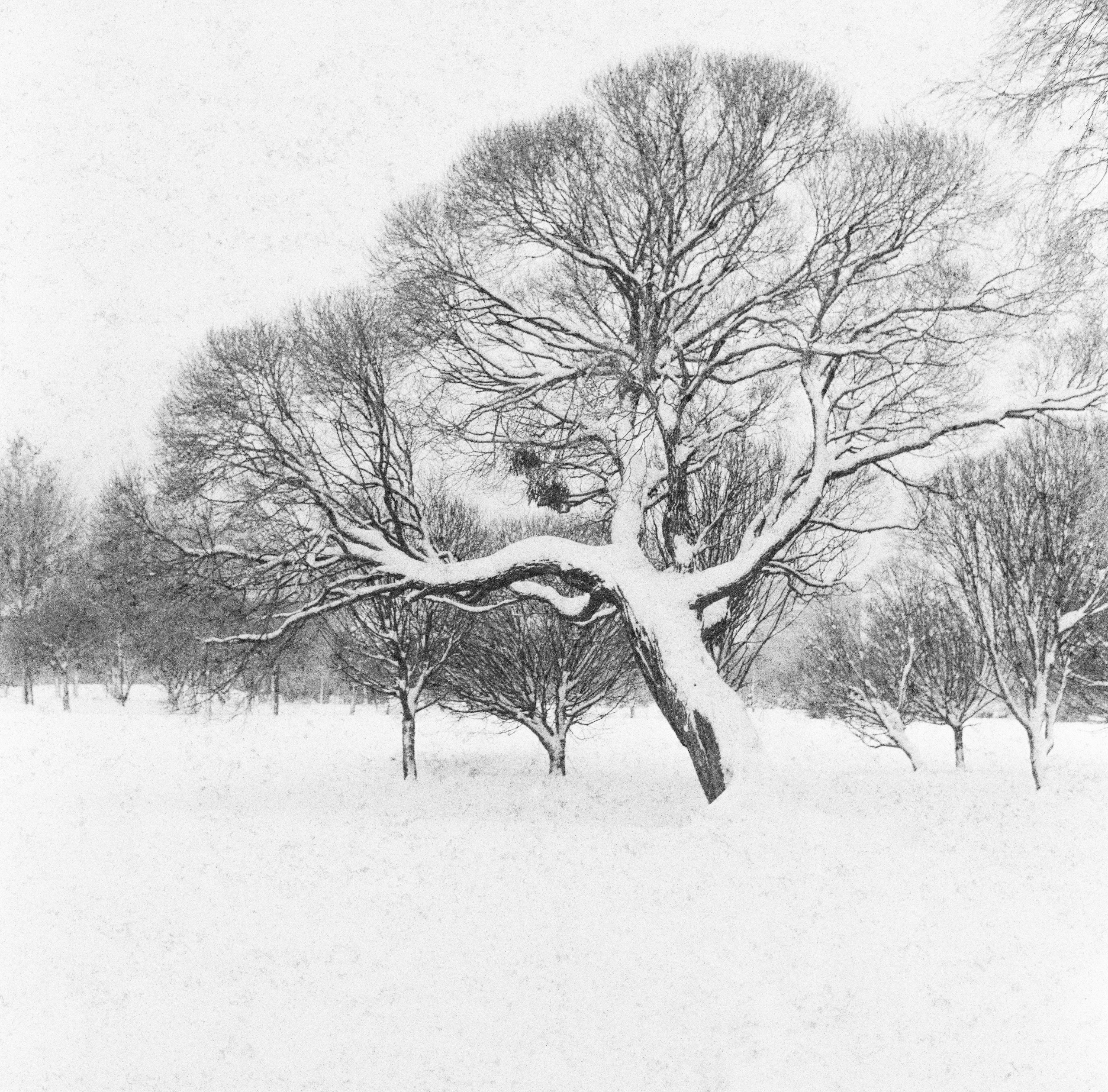 Плёнка 35/120мм. Katya Medvedeva