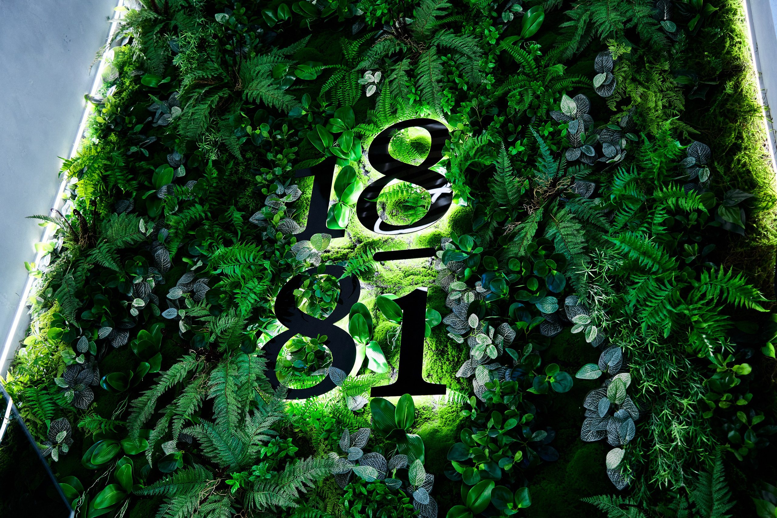 Интерьерная съемка 1881. Фотограф в Хабаровске