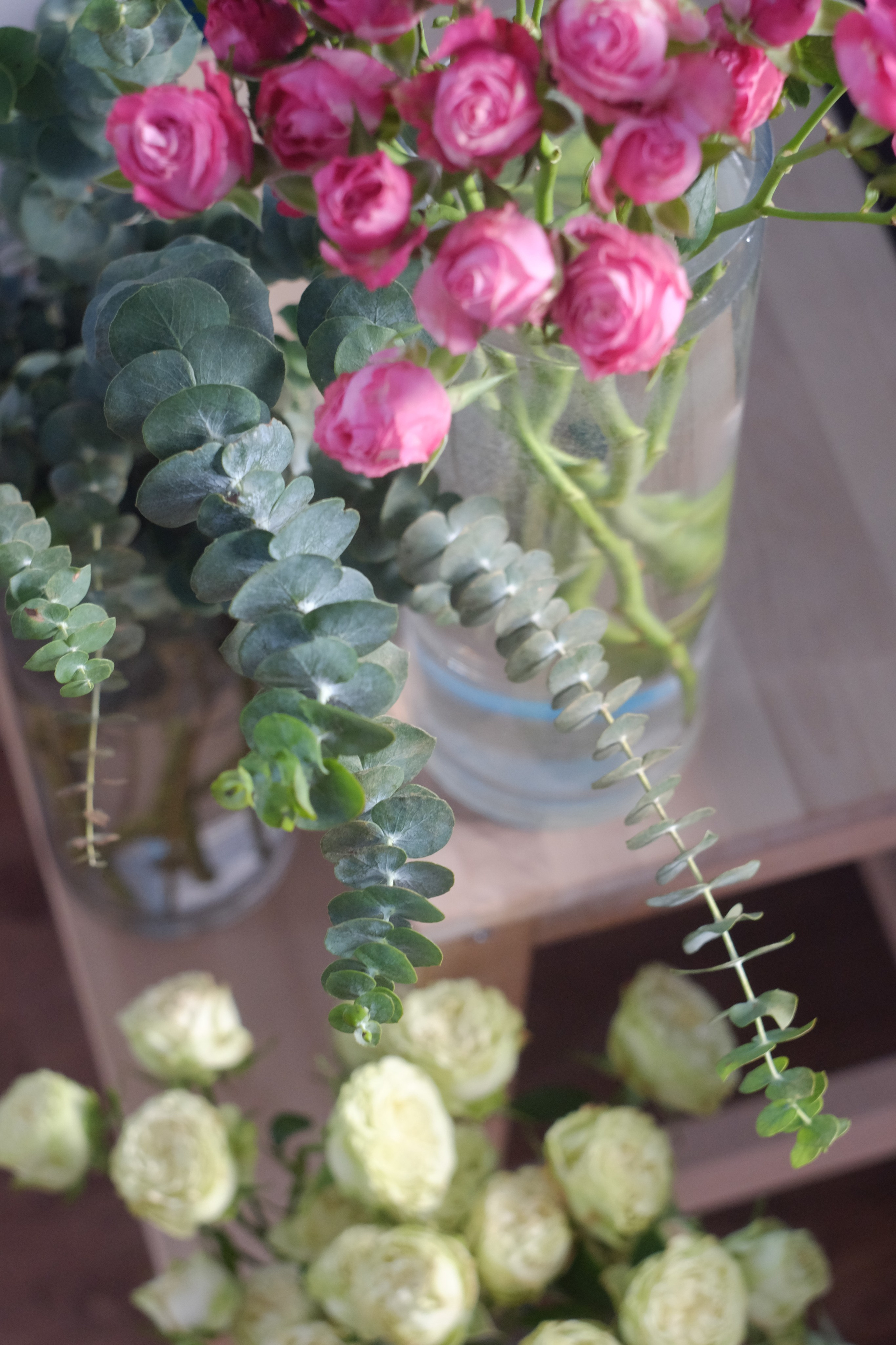 Цветы Fern Decor. Фотограф в Новосибирске Александра Сапожникова @rruprrup