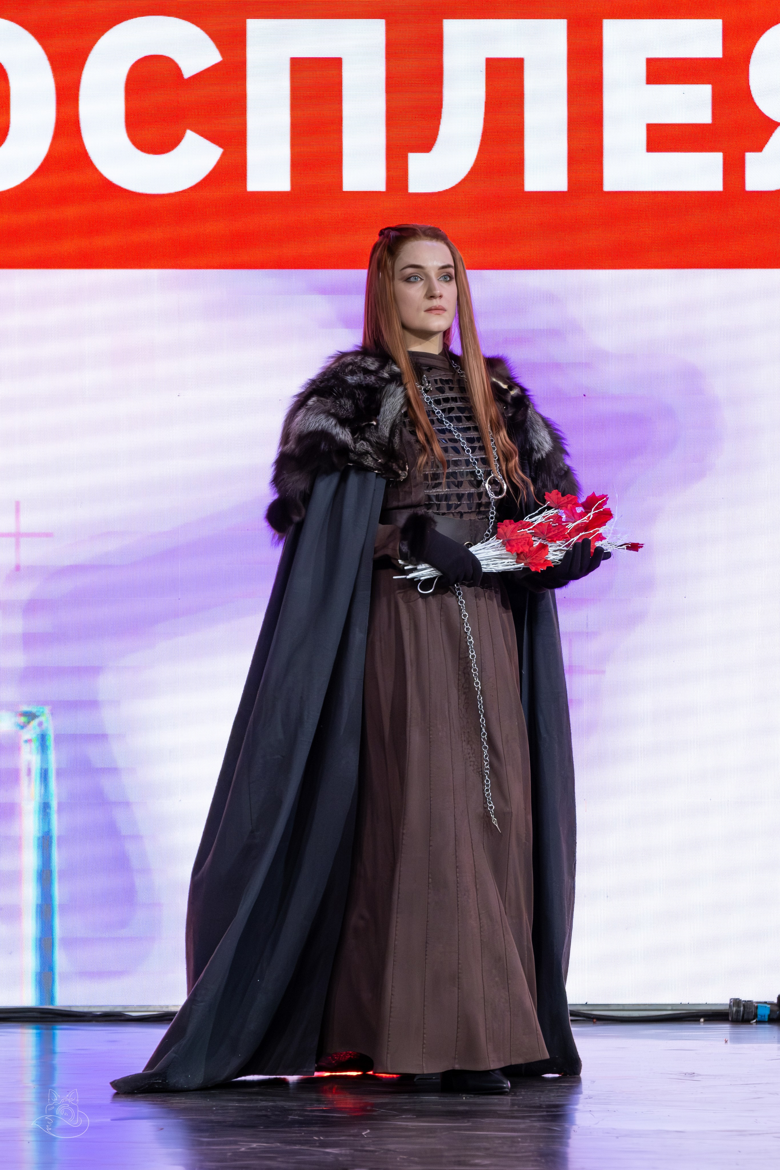 Сцена РЭД ЭКСПО 2024. Косплей фотограф