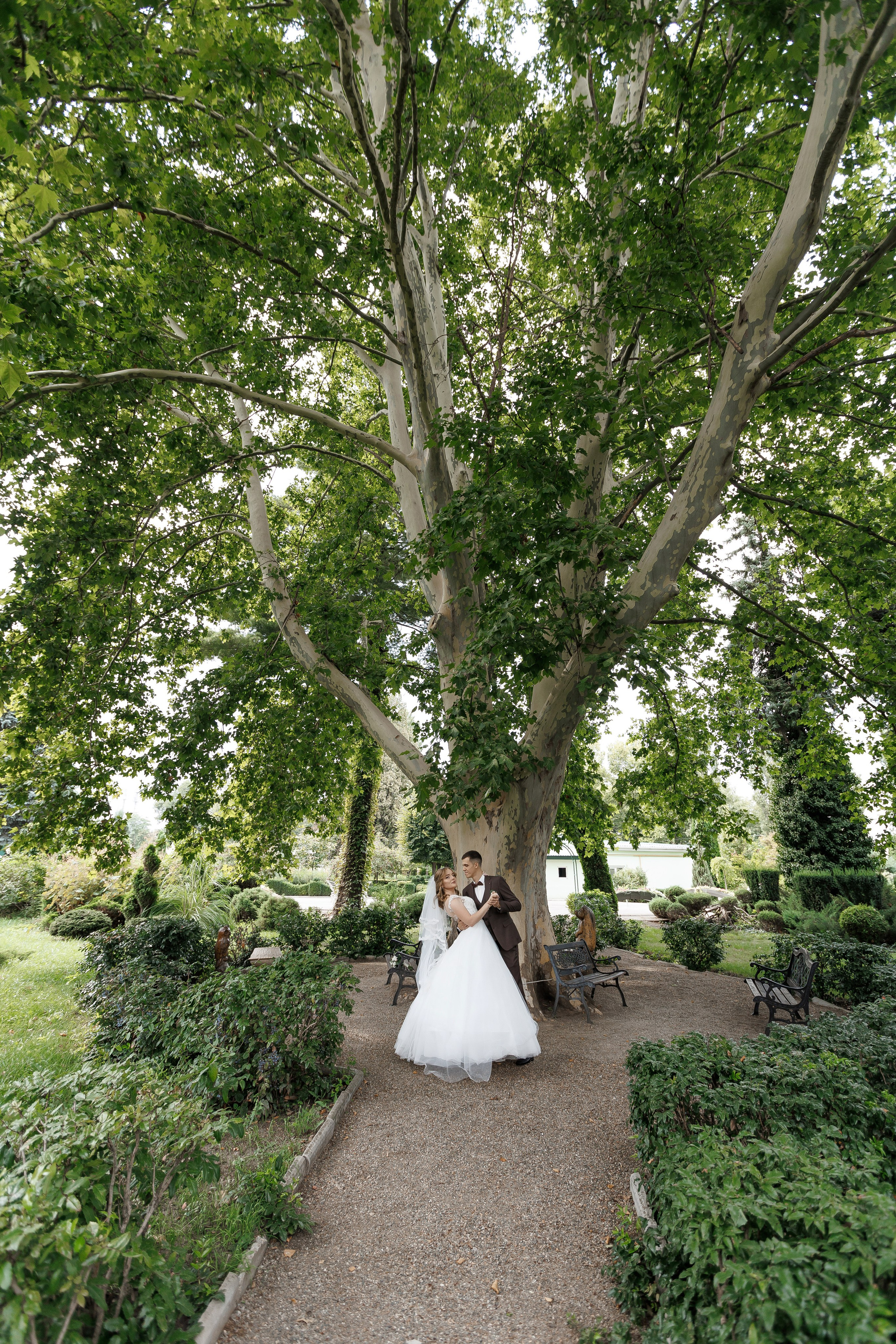 Daniil & Anna. Виктор Губарев — свадебный фотограф в Армавире, Кропоткине, Лабинске, Гулькевичи