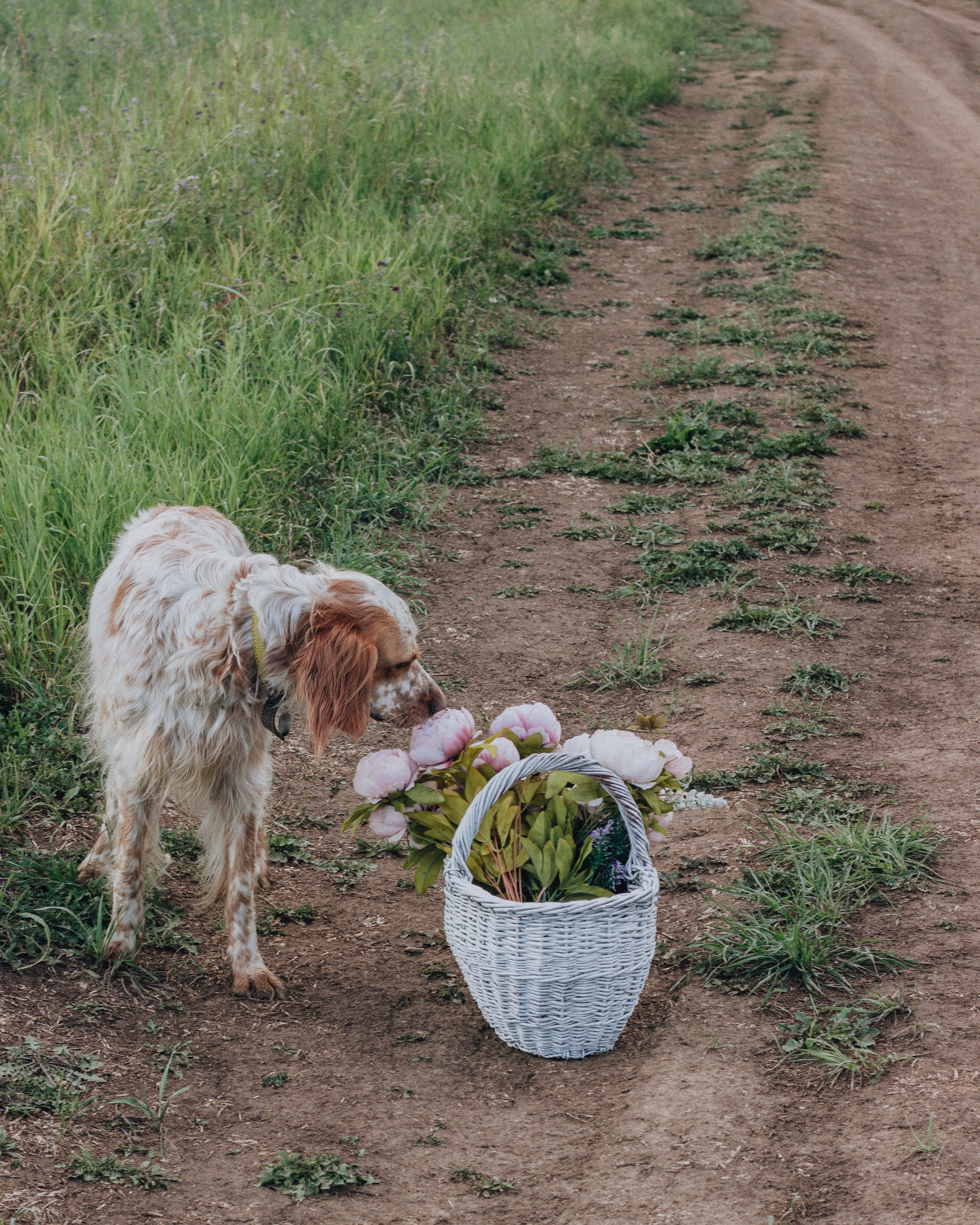 Ксения. Свадебный фотограф и фотограф Love-Store в Нижнем Новгороде Анастасия