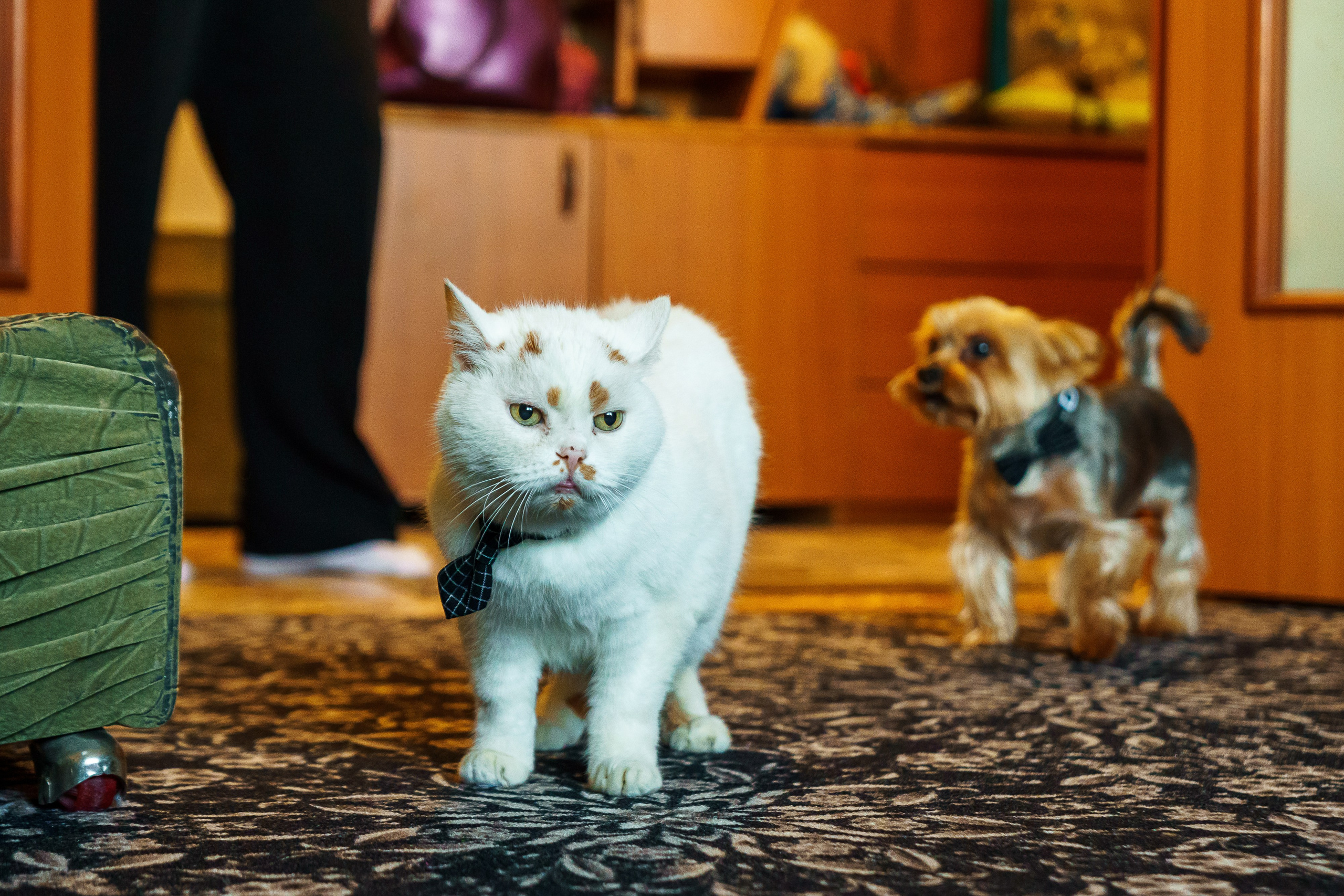 Праздник к нам пришёл!. Фотограф Челябинск · Ольга Серебрякова