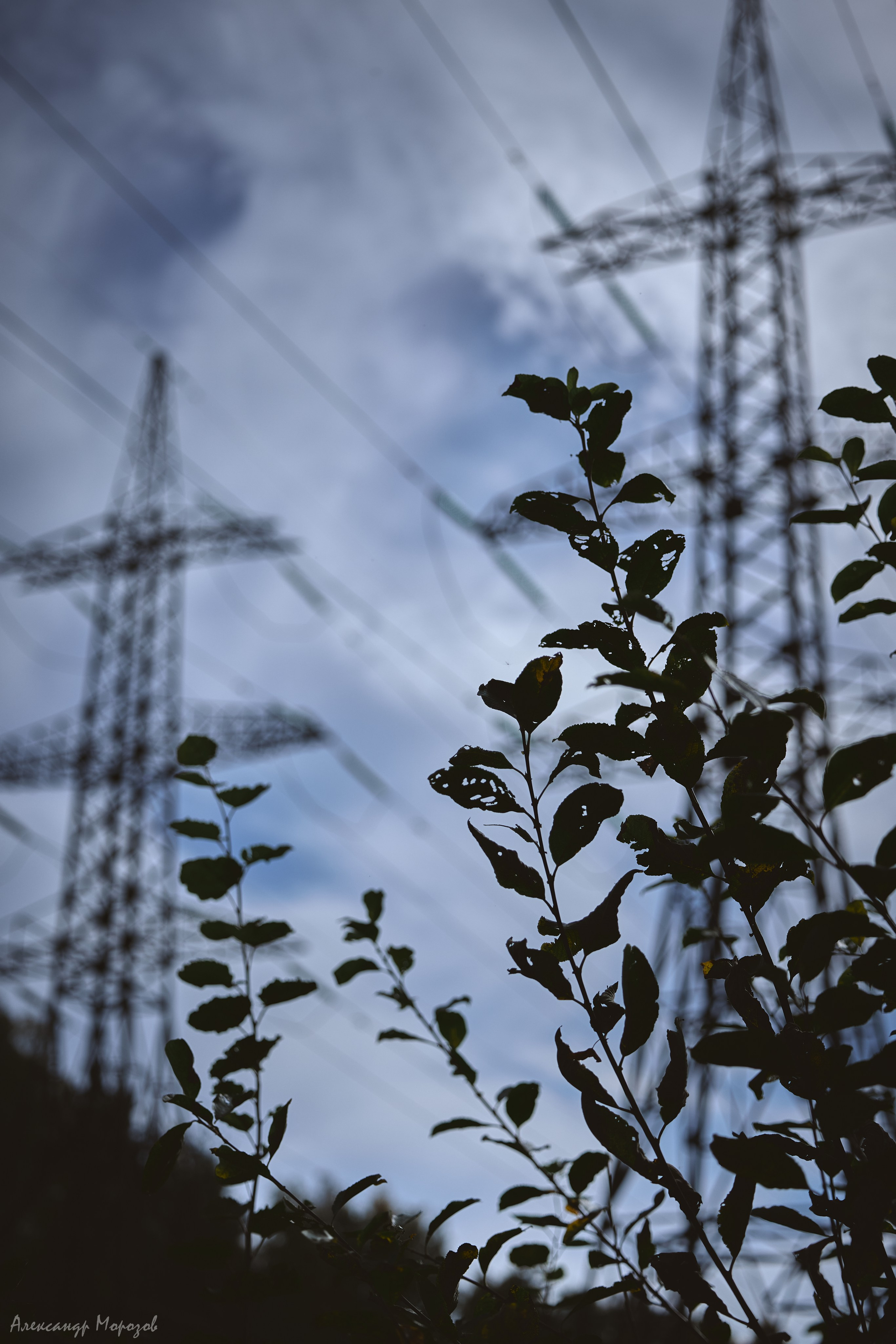 Осень в деталях. Фотограф в Екатеринбурге Александр Морозов