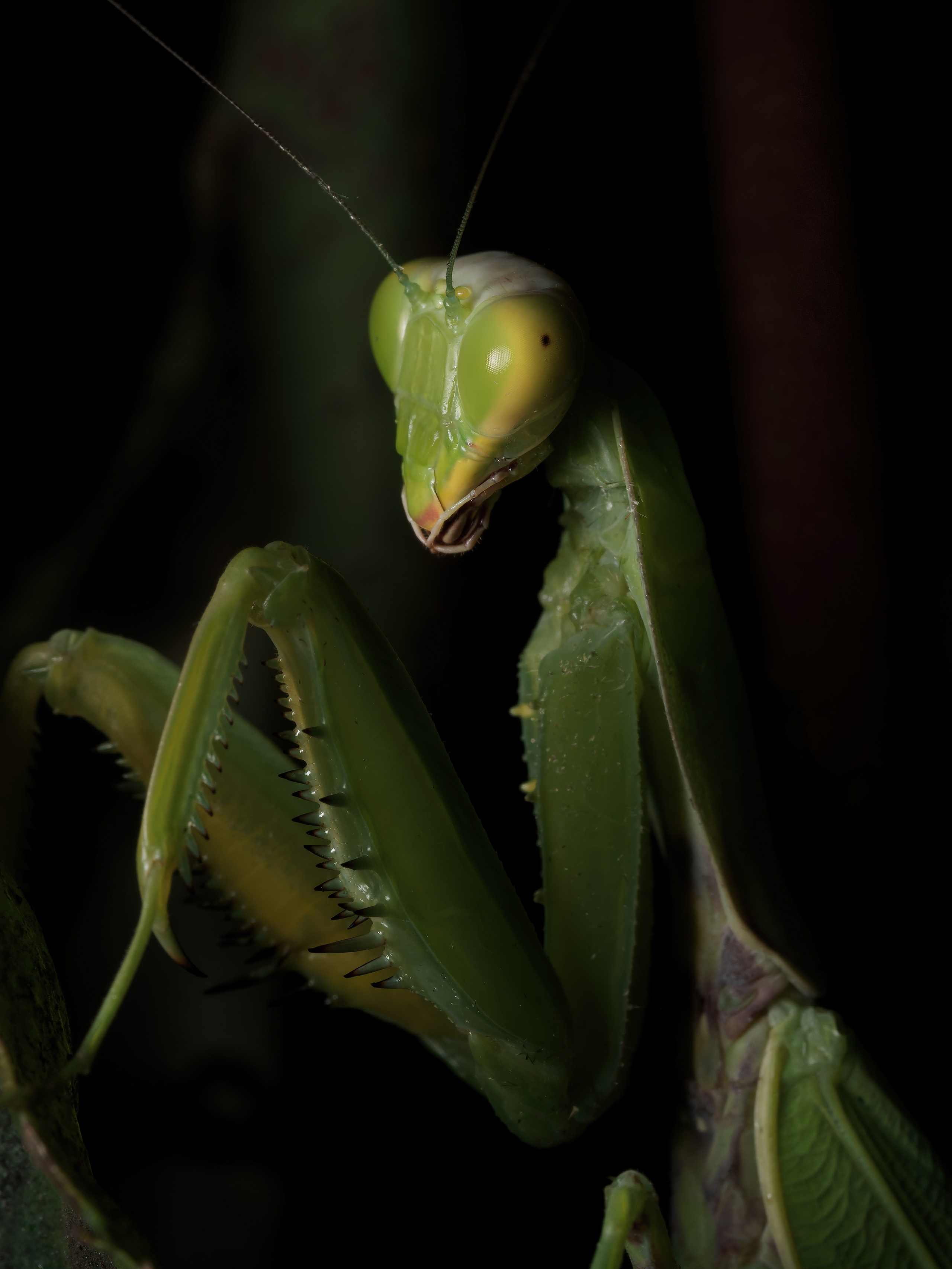 Остальные. Oles Paritskiy