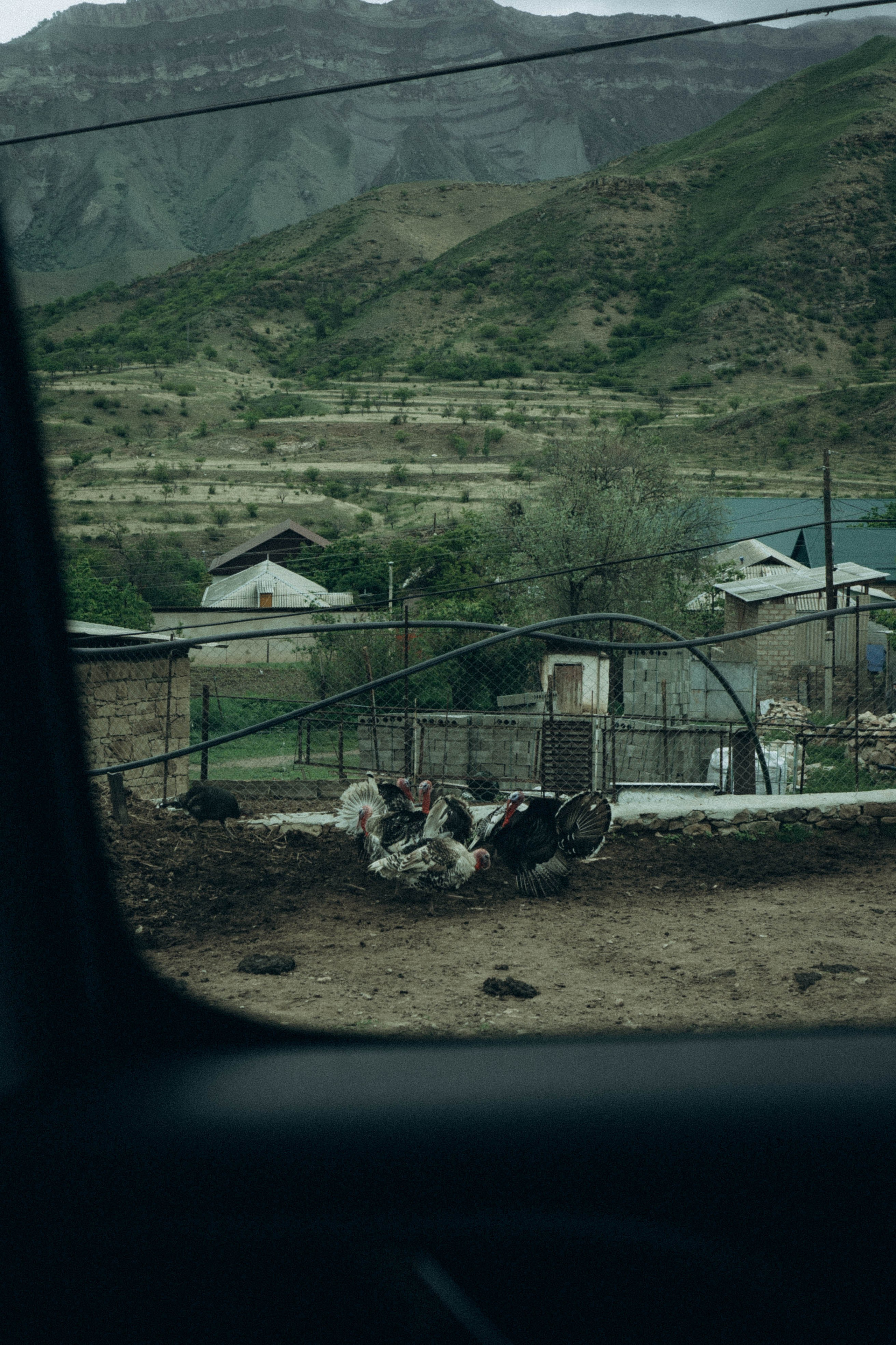 Кавказ. Профессиональный фотограф, Санкт-Петербург — Виктория Богомолова