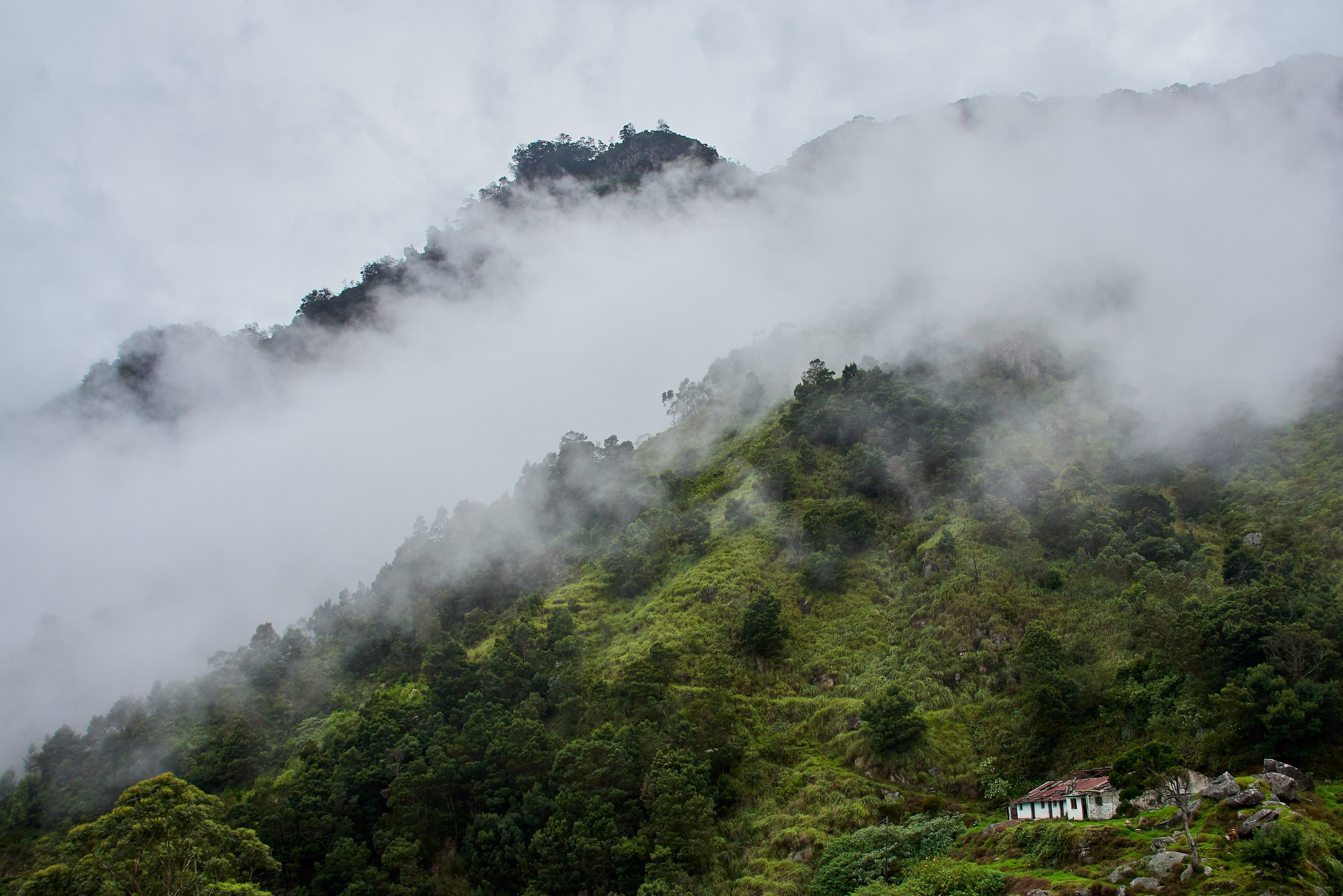 Moto Trip 23-05-19. Никита Хохловский фото и видео продакшн