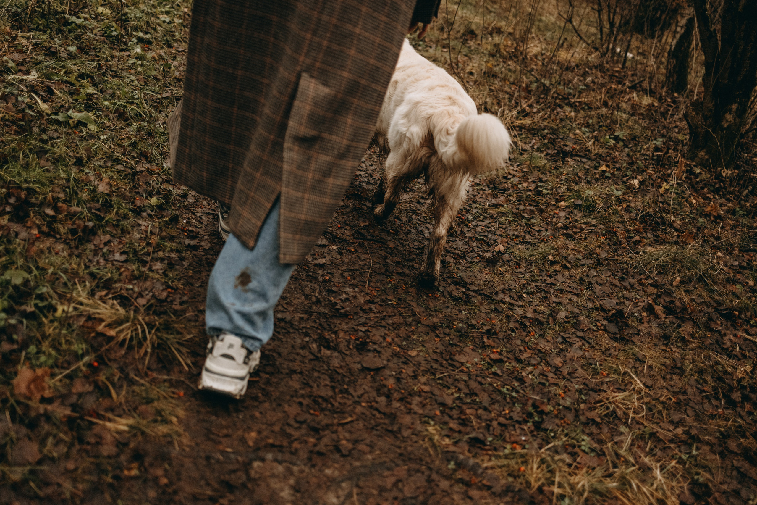 Лаки и его семья. Фотограф — Анималист | Санкт-Петербург