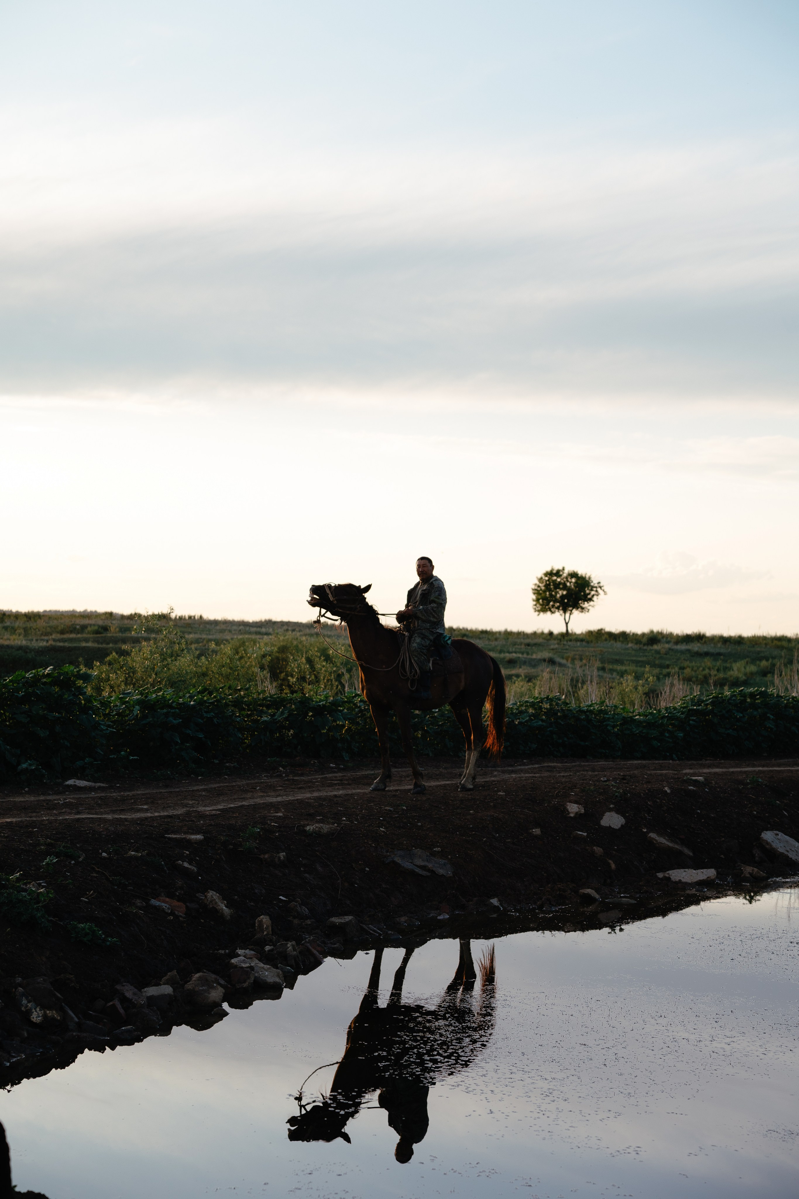 Д. Урасхан. Свадебный фотограф Виктория