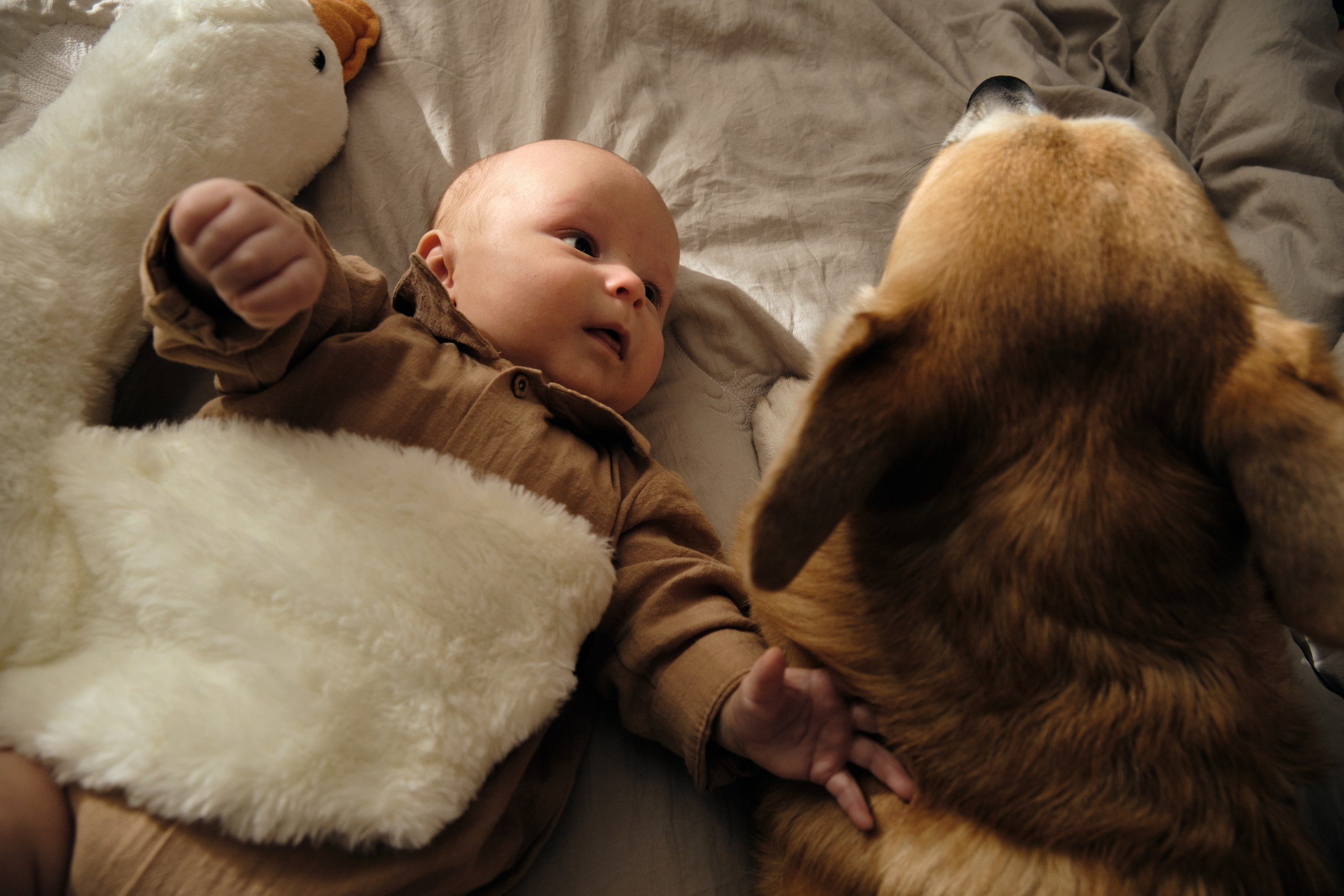 Фотосессия с новорожденными альбом. Фотограф в Москве — Галунина Кристина