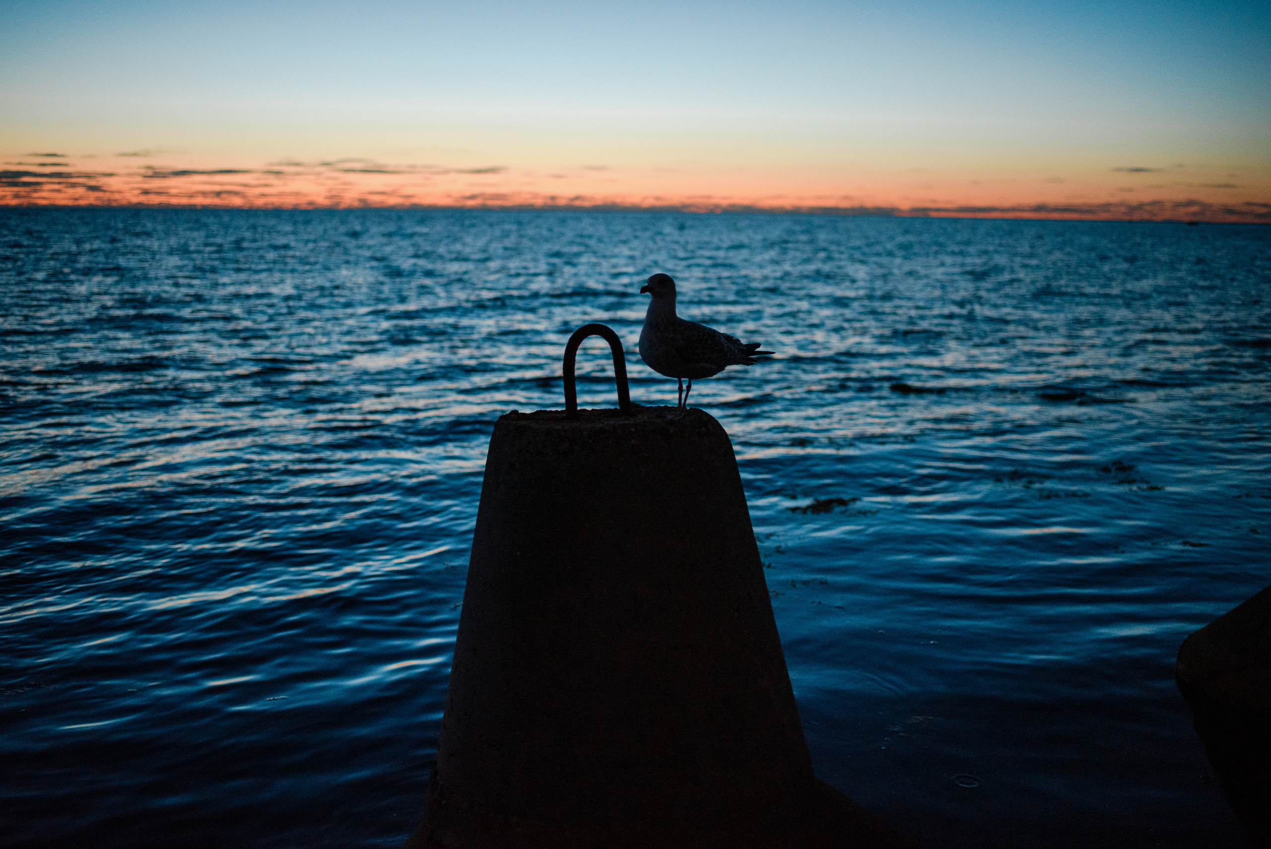 Фотосессия Маяк. Чайка. Свадебный фотограф Анна Хочева
