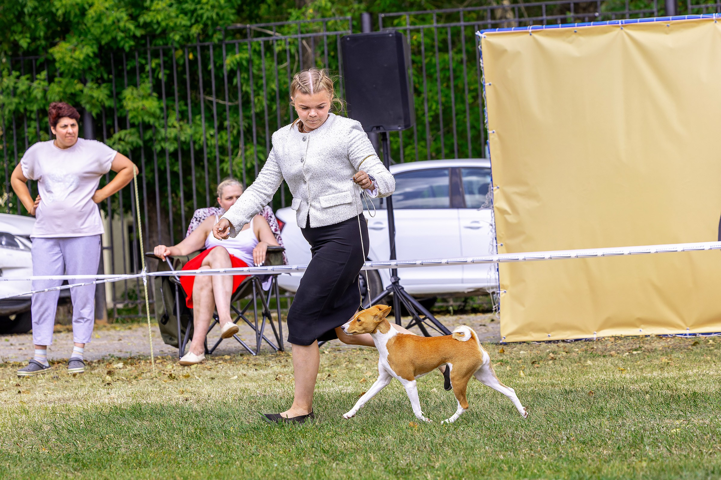 2–3 августа 2025, Выставка РКФ, г. Пермь. Htykk_photo