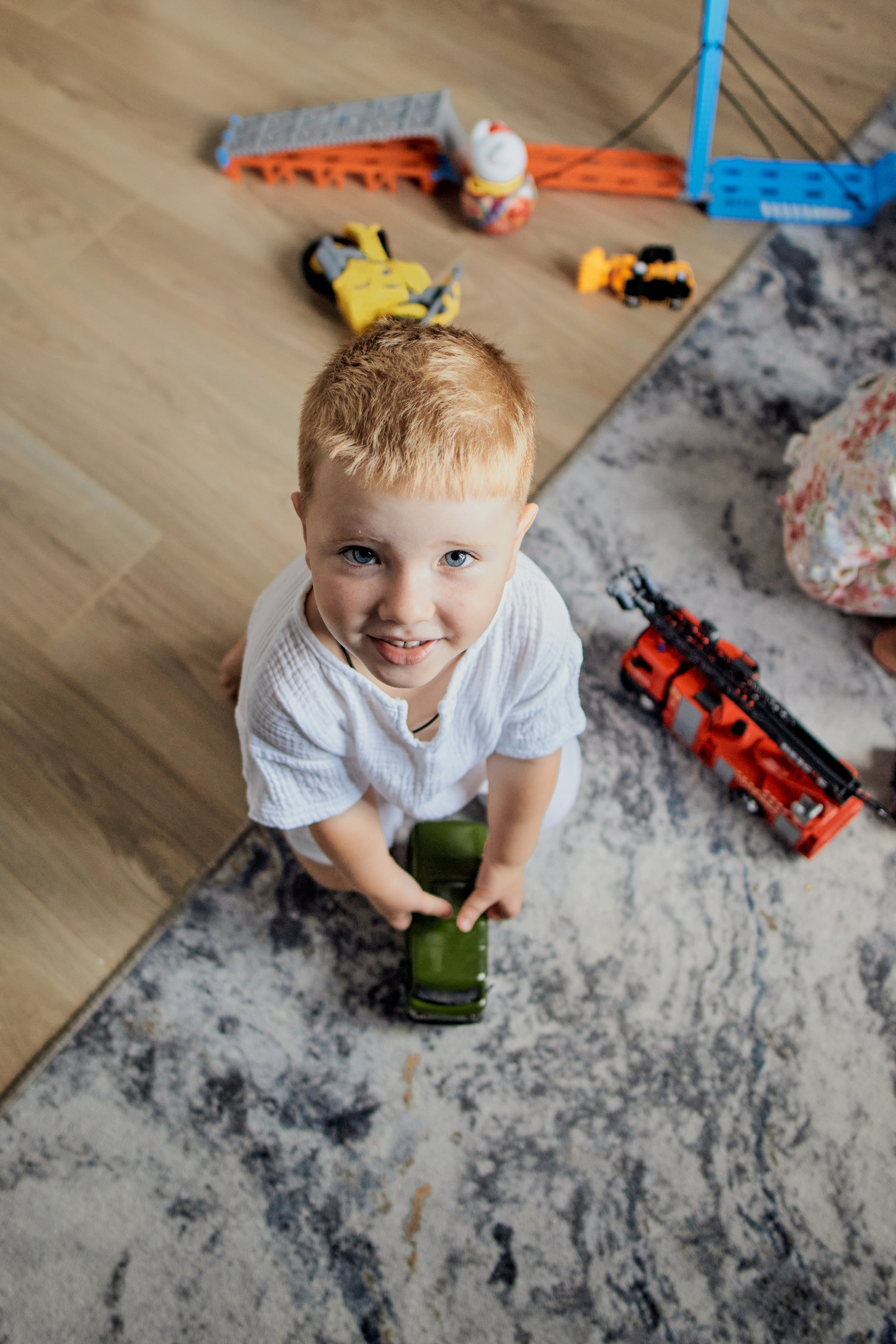 Три кота. Фотограф Москва