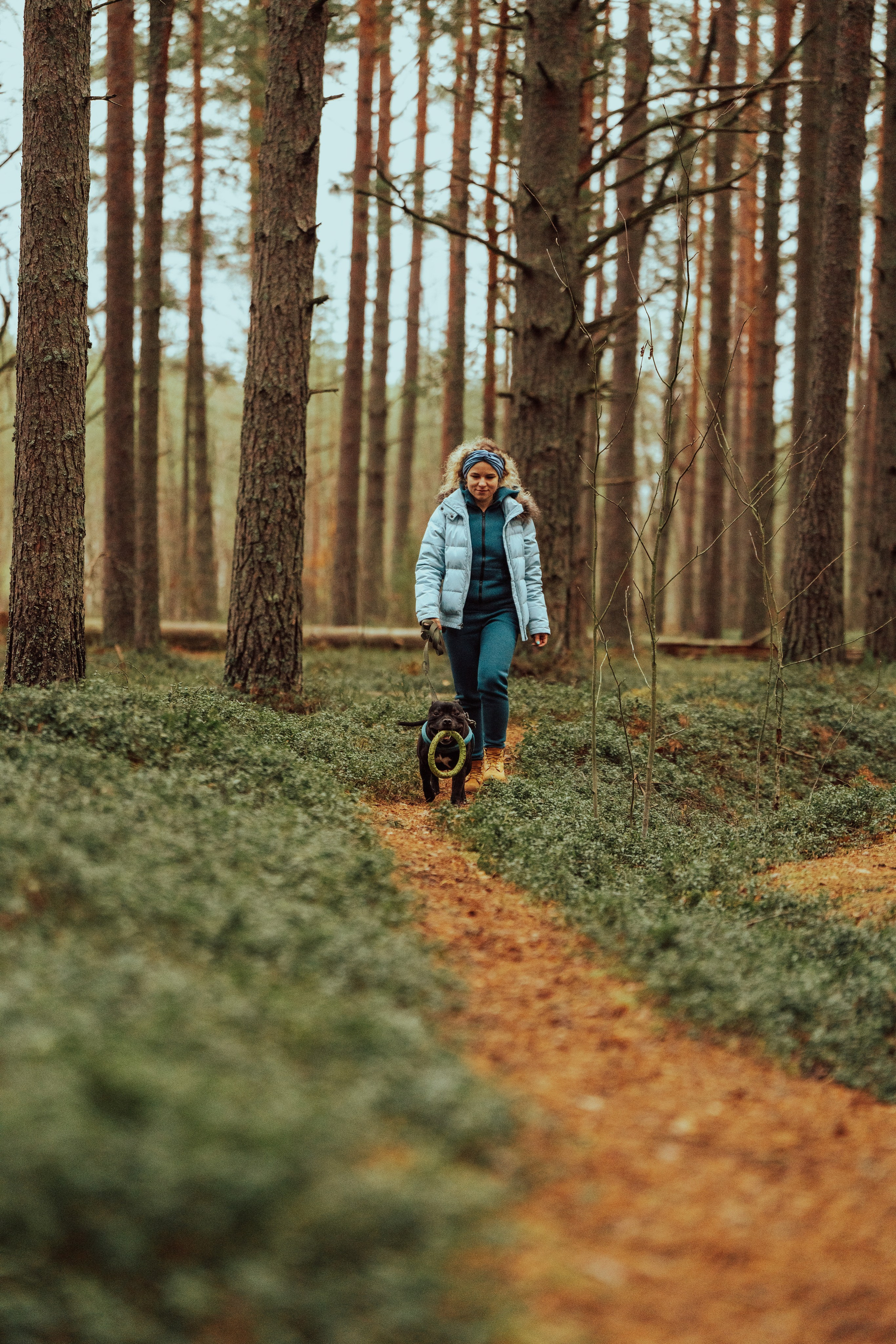 Фотограф анималист в Санкт-Петербурге. Фотограф анималист в Спб недорого Олеся Майорова