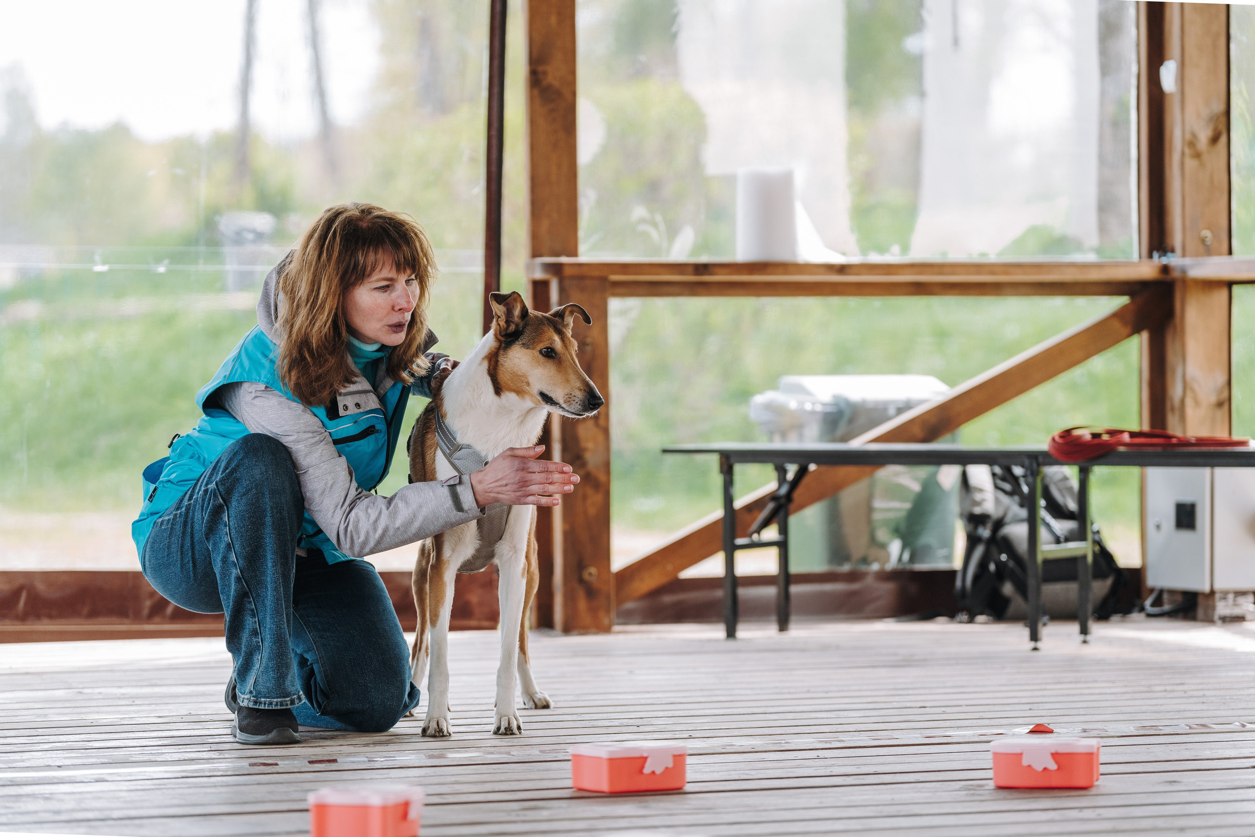 Соревнования по ноузворку в Лосево. Фотограф анималист в Спб недорого Олеся Майорова