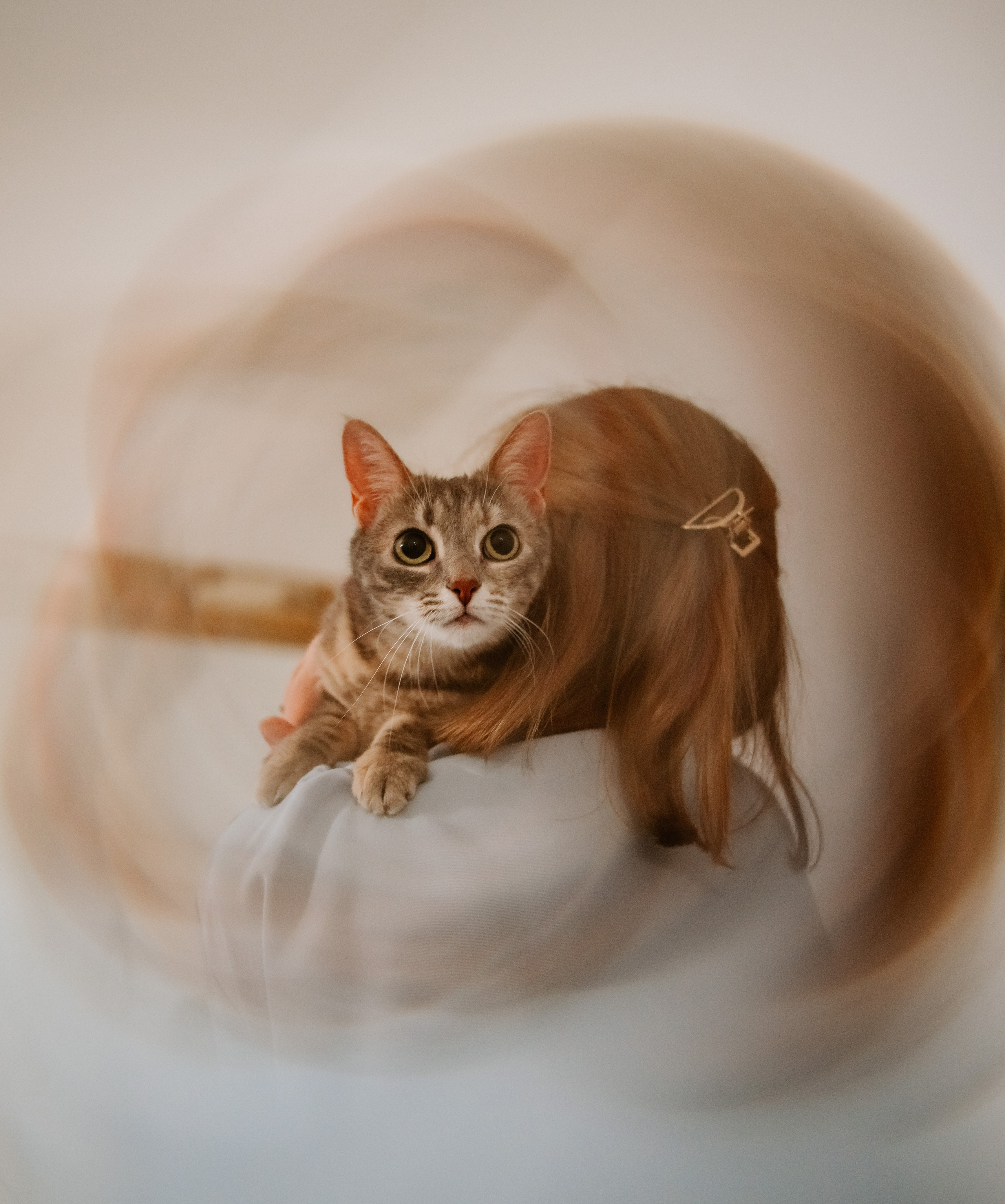 Натали и Иззи. Фотограф анималист в Спб недорого Олеся Майорова