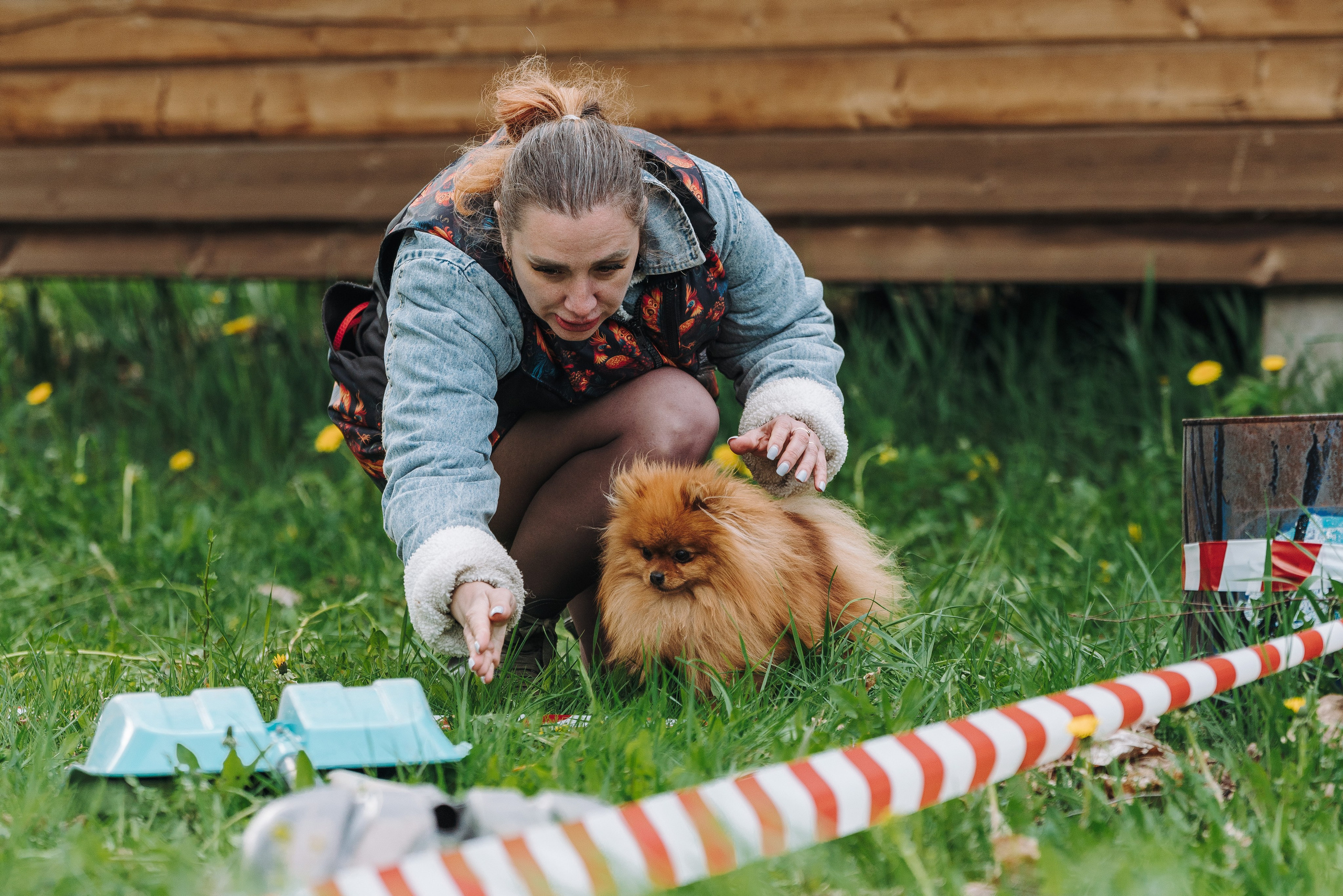 Соревнования по ноузворку в Лосево. Фотограф анималист в Спб недорого Олеся Майорова