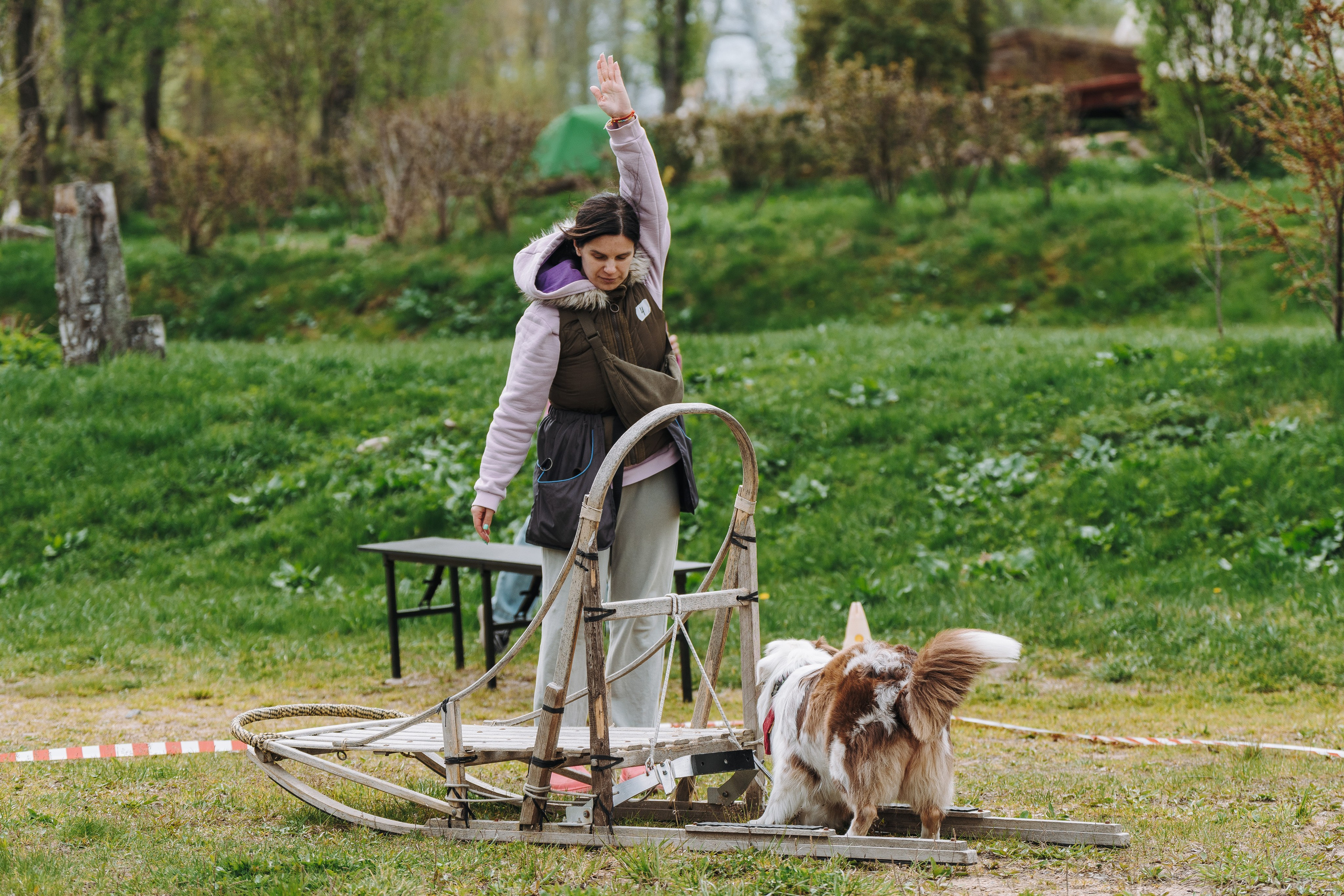 Соревнования по ноузворку в Лосево. Фотограф анималист в Спб недорого Олеся Майорова