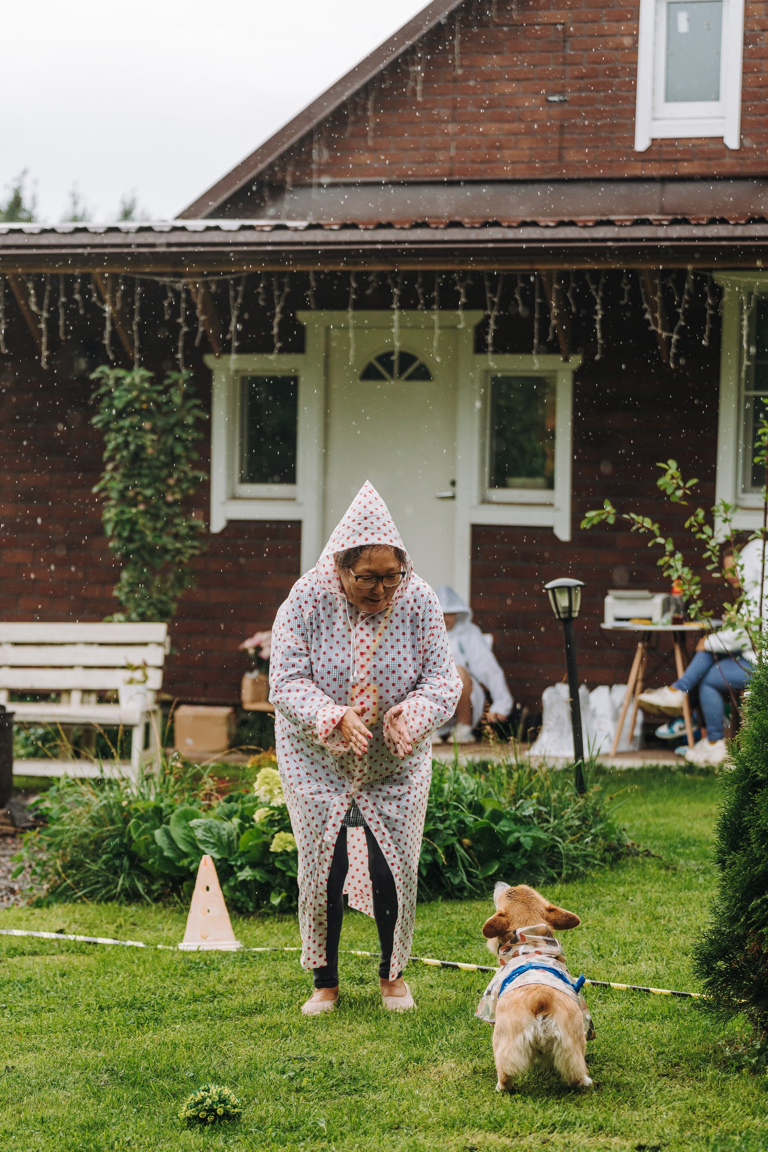 Соревнования по ноузворку в Новожилово. Фотограф анималист в Спб недорого Олеся Майорова