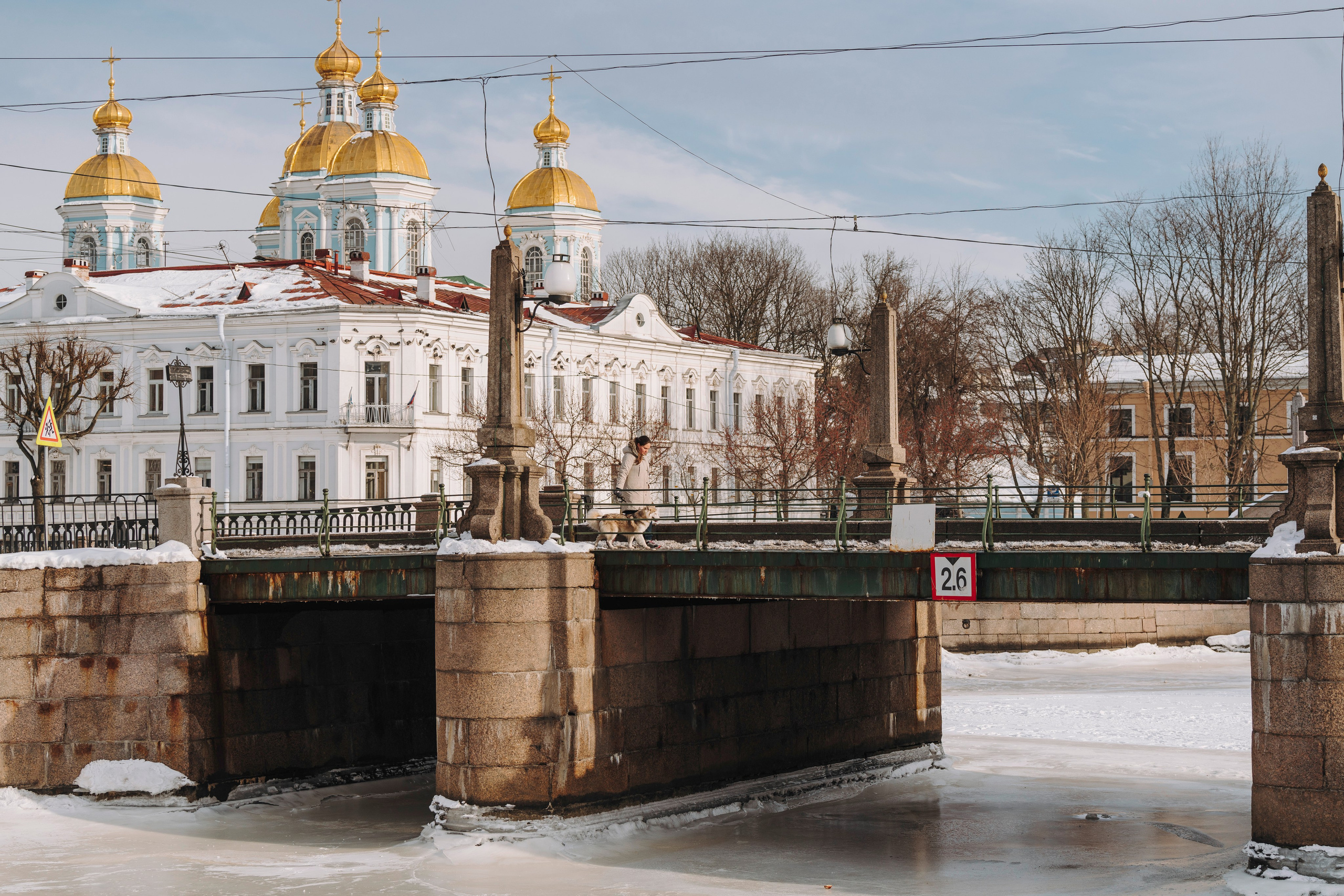 Мария и Амелия. Фотограф анималист в Спб недорого Олеся Майорова