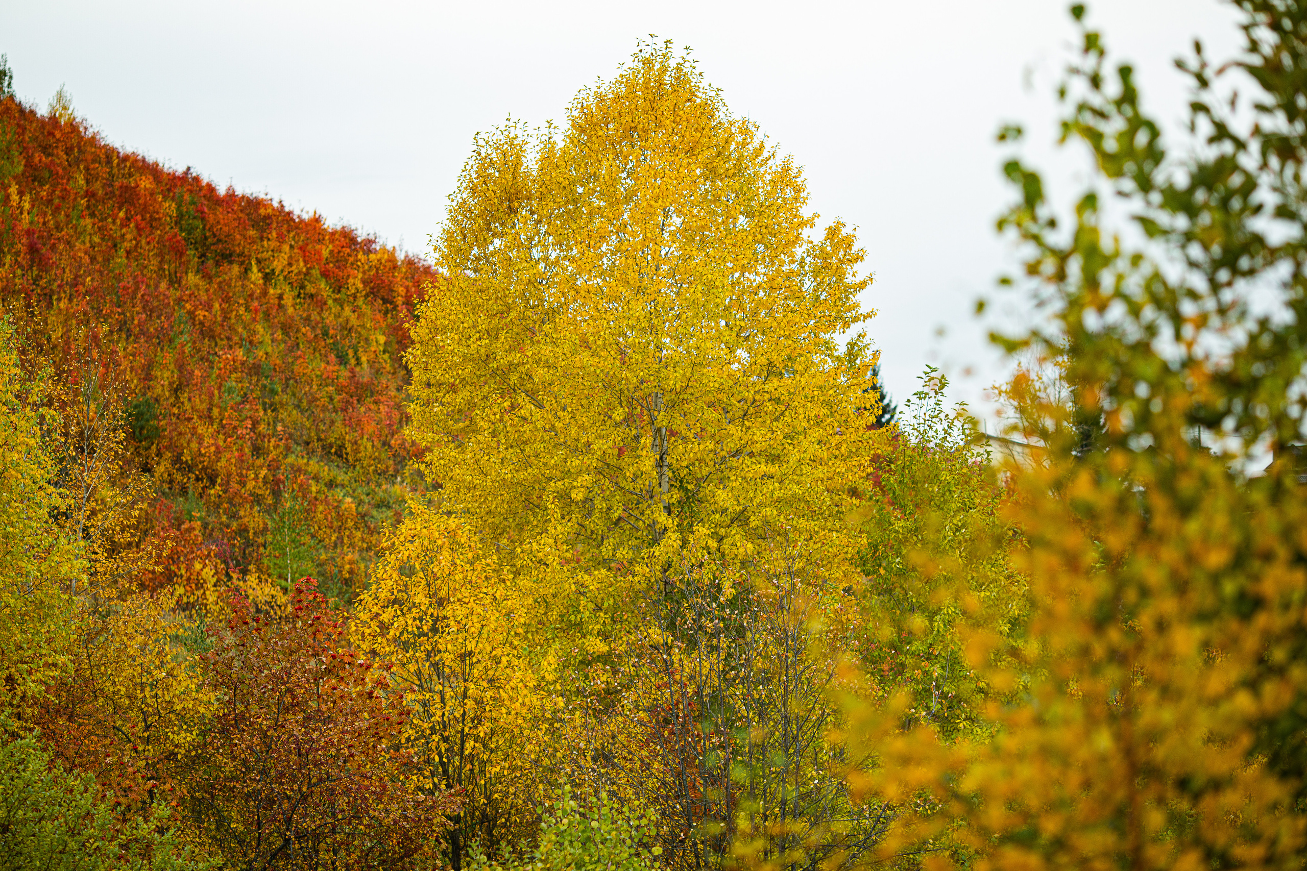 Nature Grand Tour. Свадебный, семейный фотограф и видеограф в Перми Павел Савин