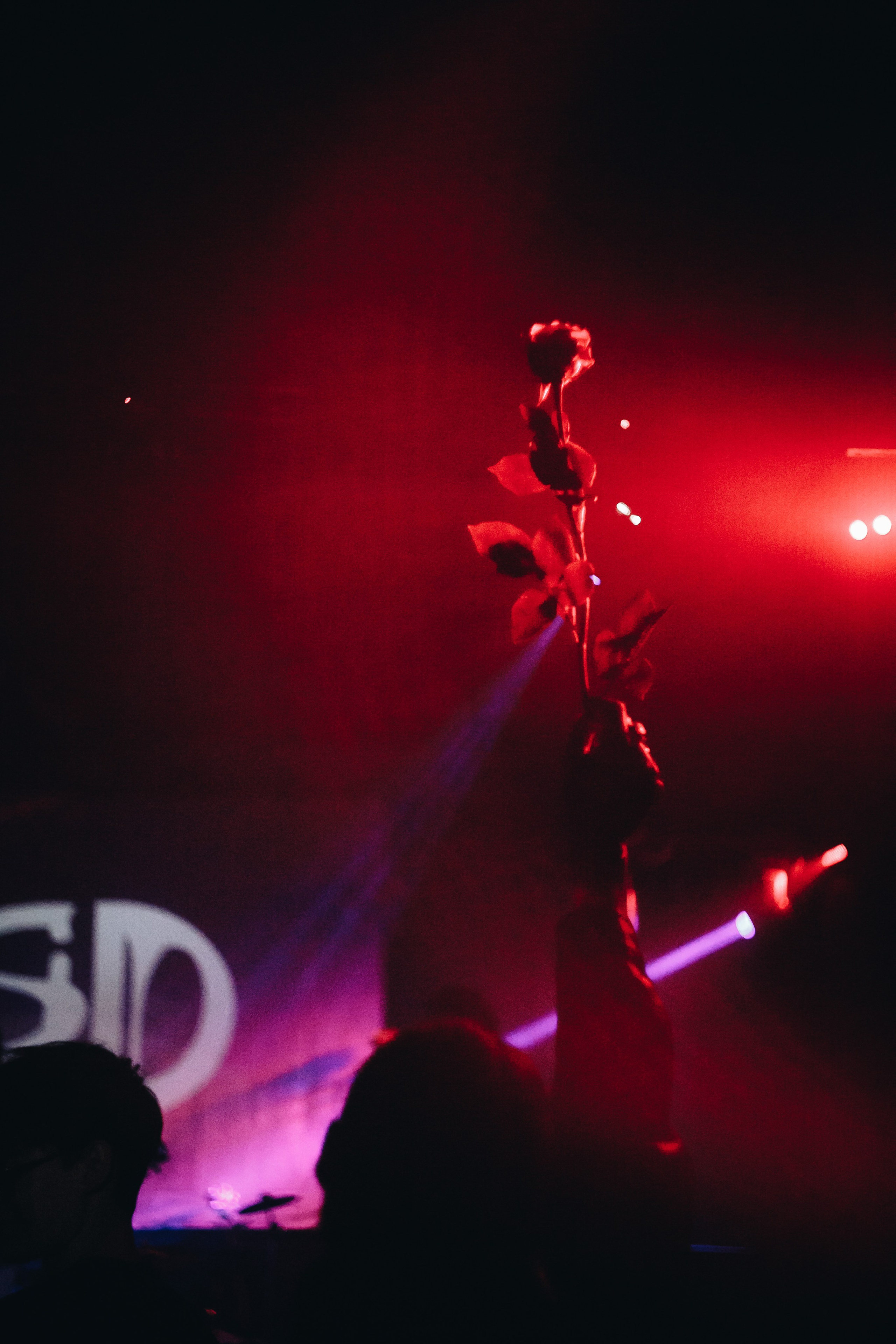 Alt Rose Fest | Asmodey House. Darinishna Фэнтези-фотограф Хабаровск