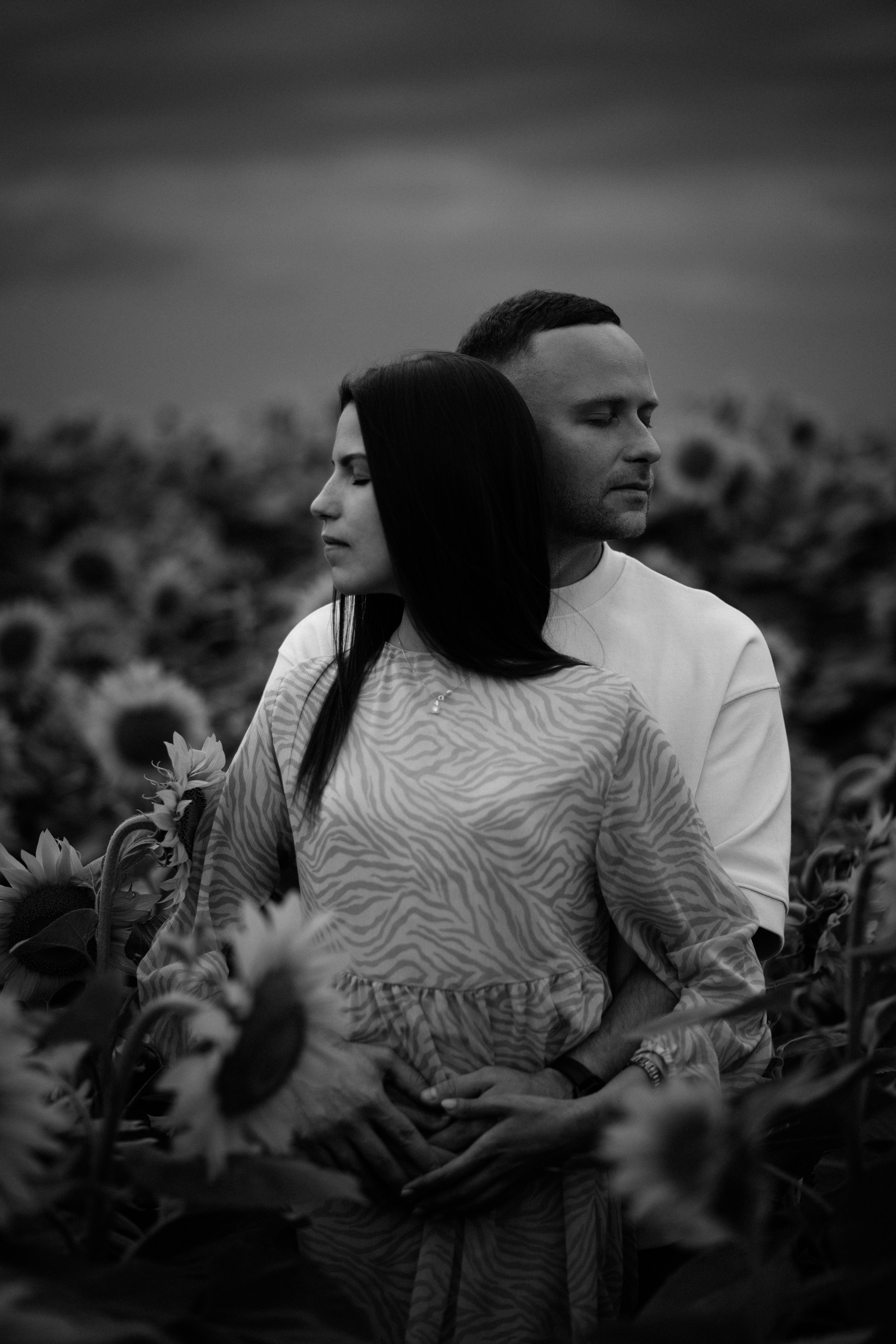 Подсолнухи. Dima Lemeshevsky