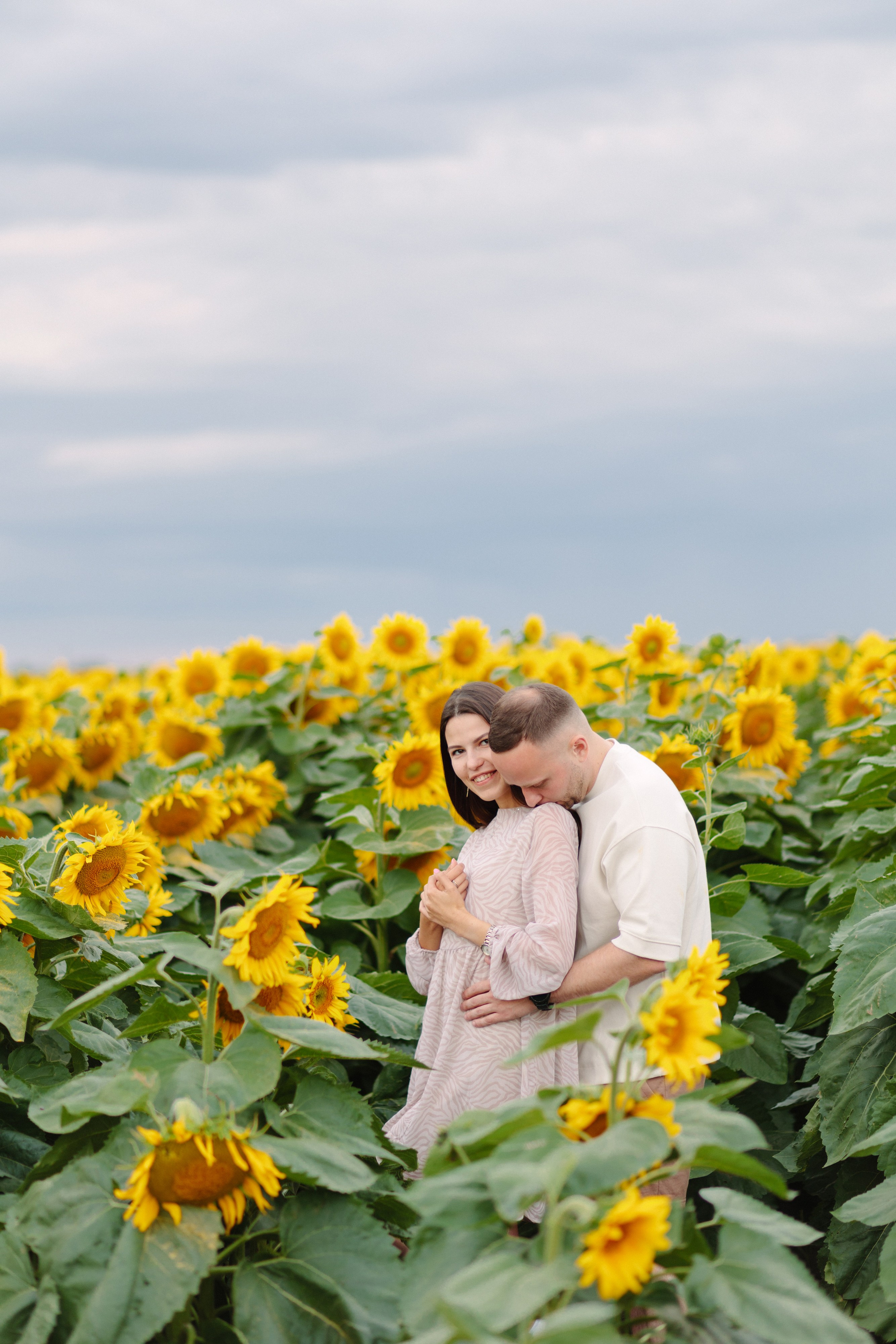 Подсолнухи. Dima Lemeshevsky