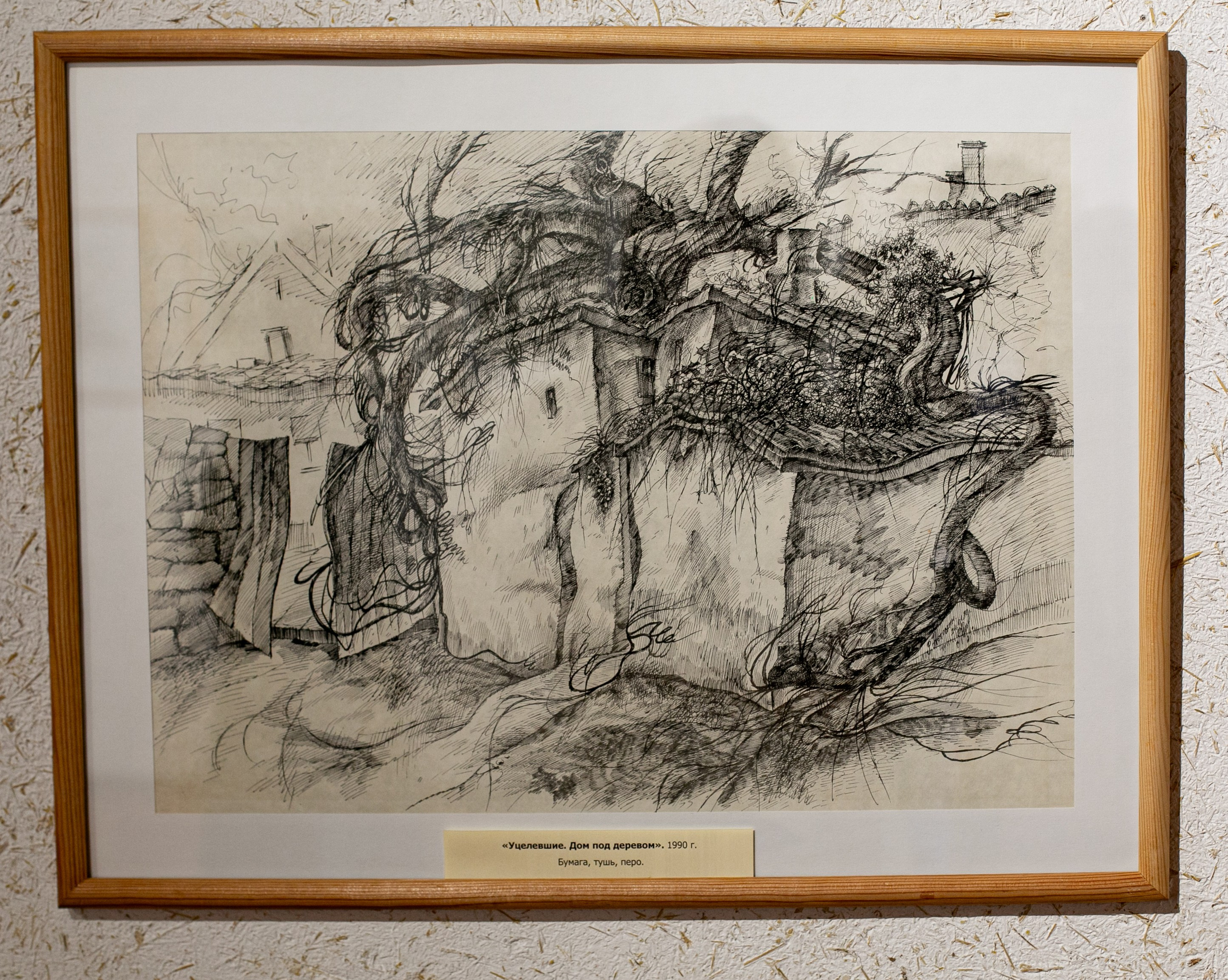 Ramiz Netovkin. Beye Shevkiyeva Photography