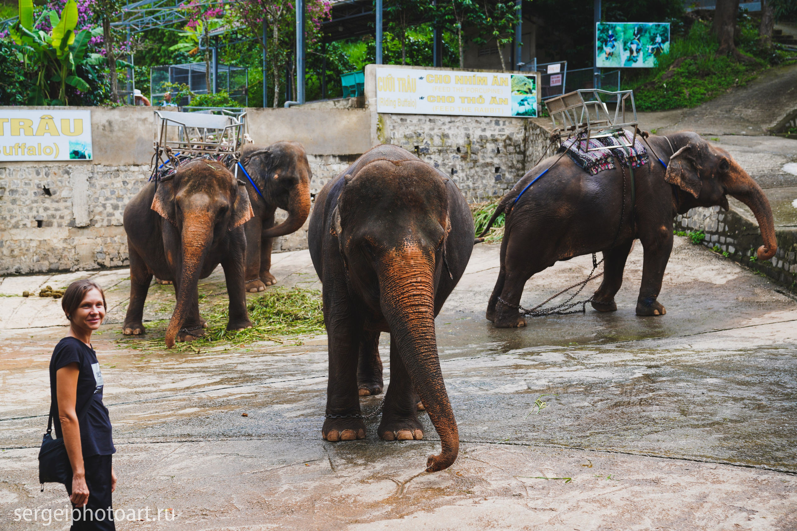 Далат. Фотограф Сергей Кишкель Дананг Нячанг Фукуок