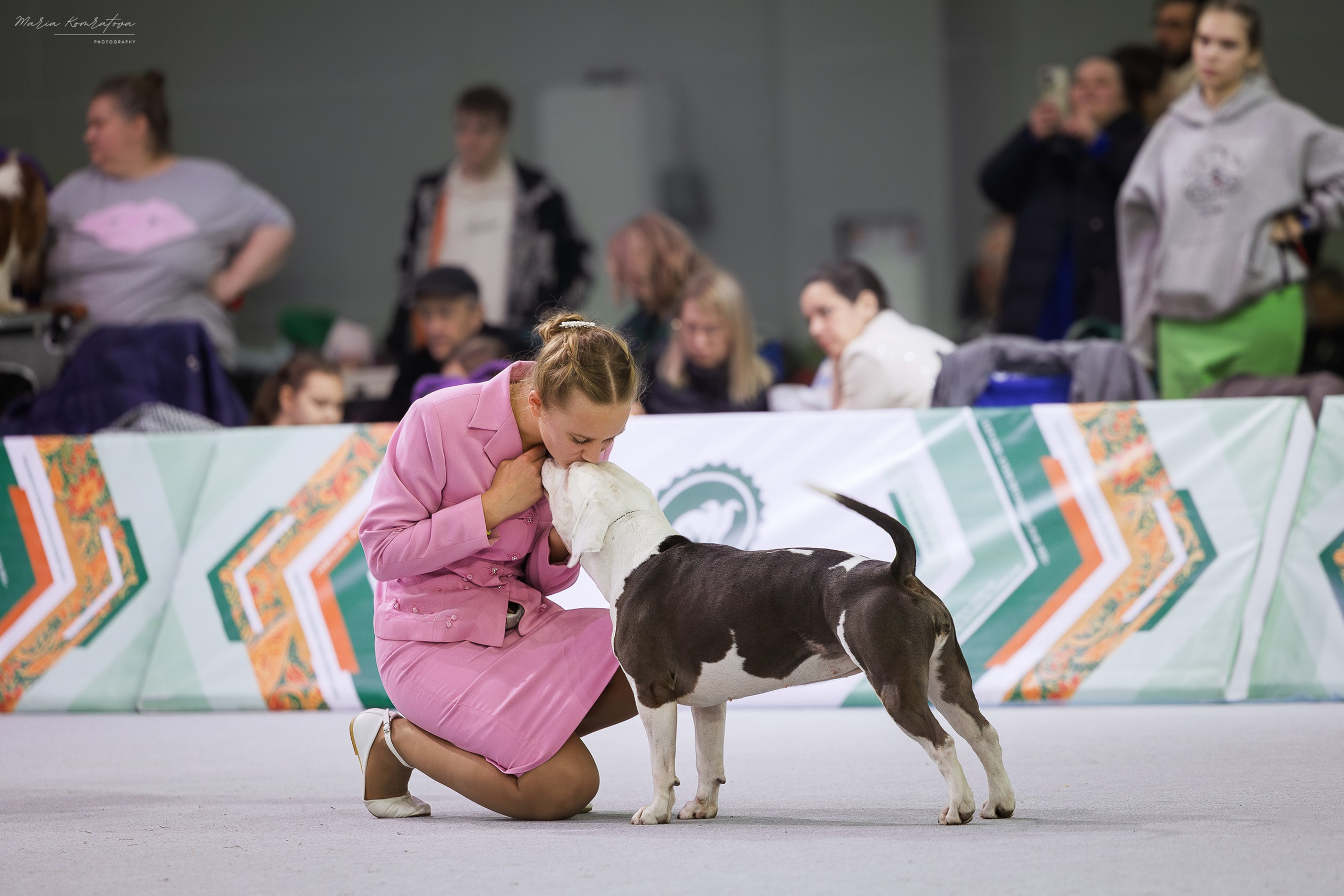Евразия 2025 съемка в ринге на выставке собак, фотограф собак на выставке. Фотограф анималист, семейный фотограф, фотограф собак Комратова Мария. г. Москва