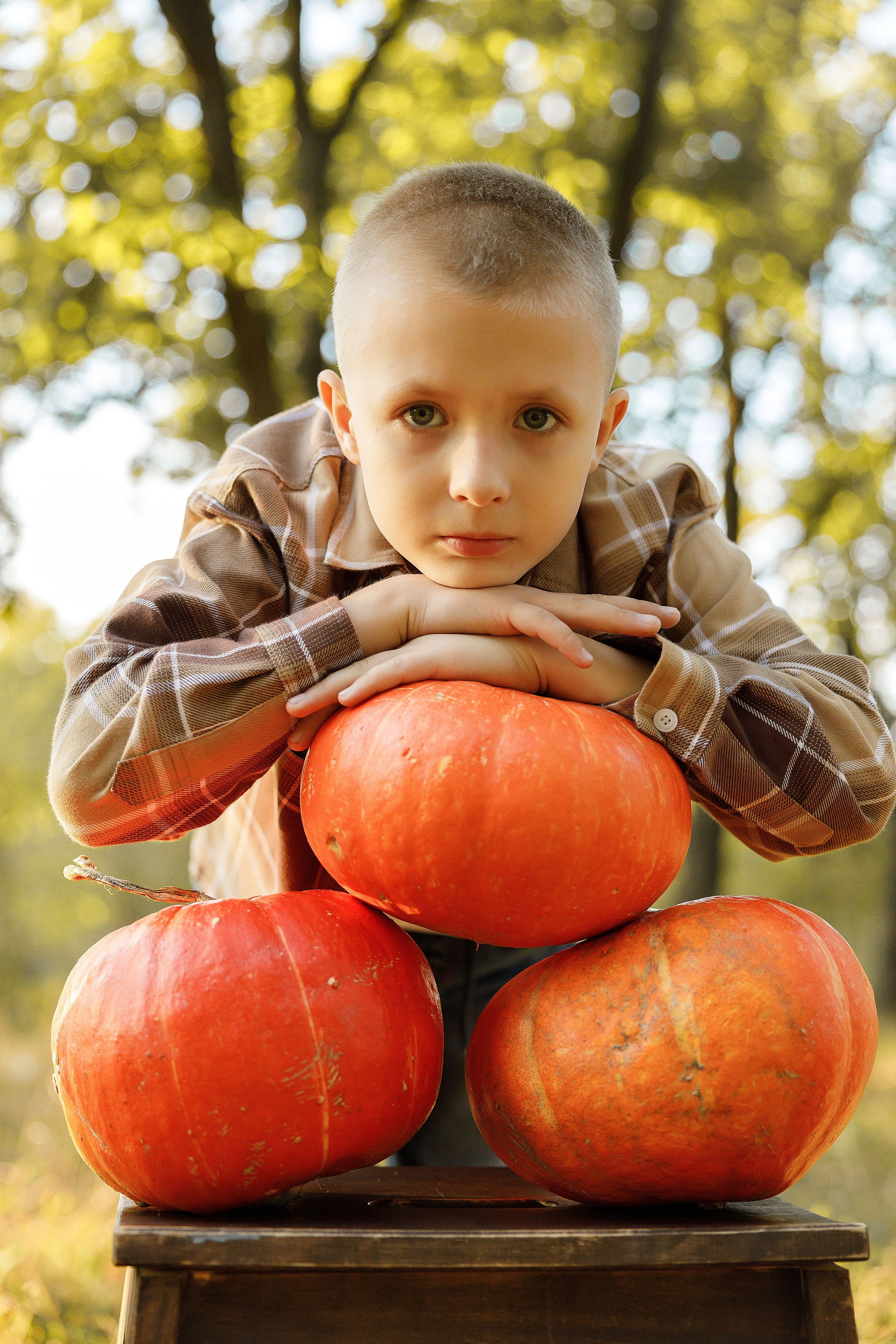 Осень Гимназия 2 класс. Photoalbum-vl.ru