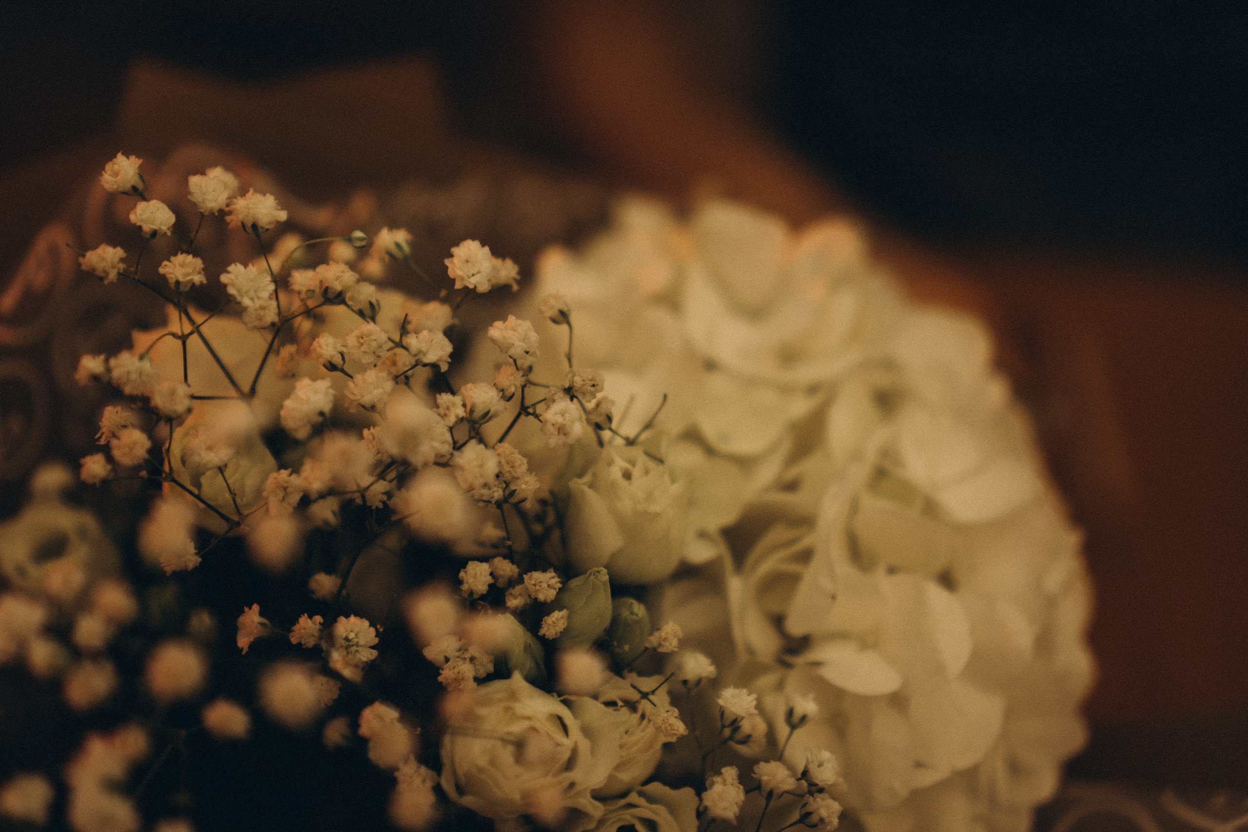 ЛЕПКАРНЯ. Профессиональный фотограф, Санкт-Петербург — Виктория Богомолова