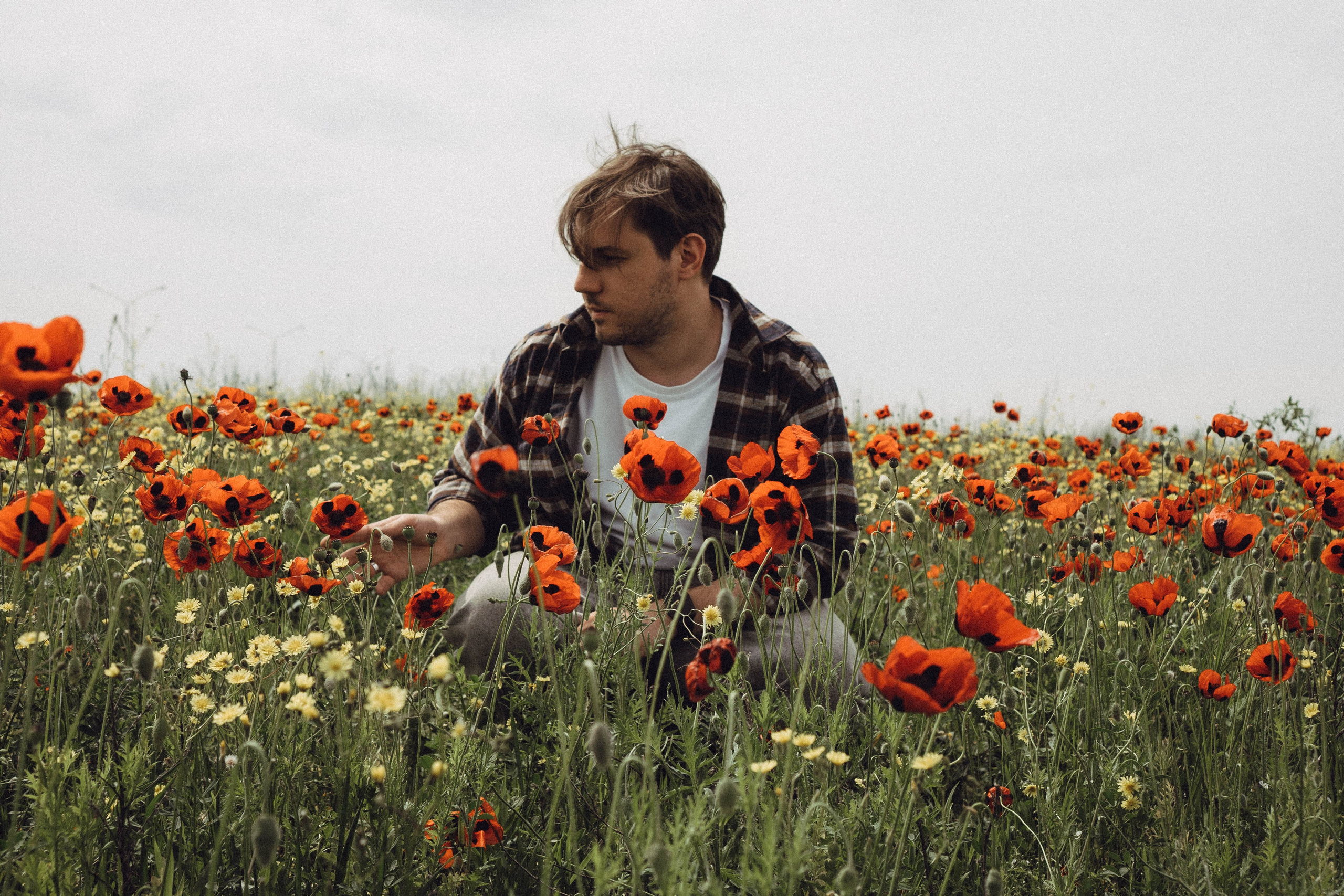 Маки. Профессиональный фотограф, Санкт-Петербург — Виктория Богомолова