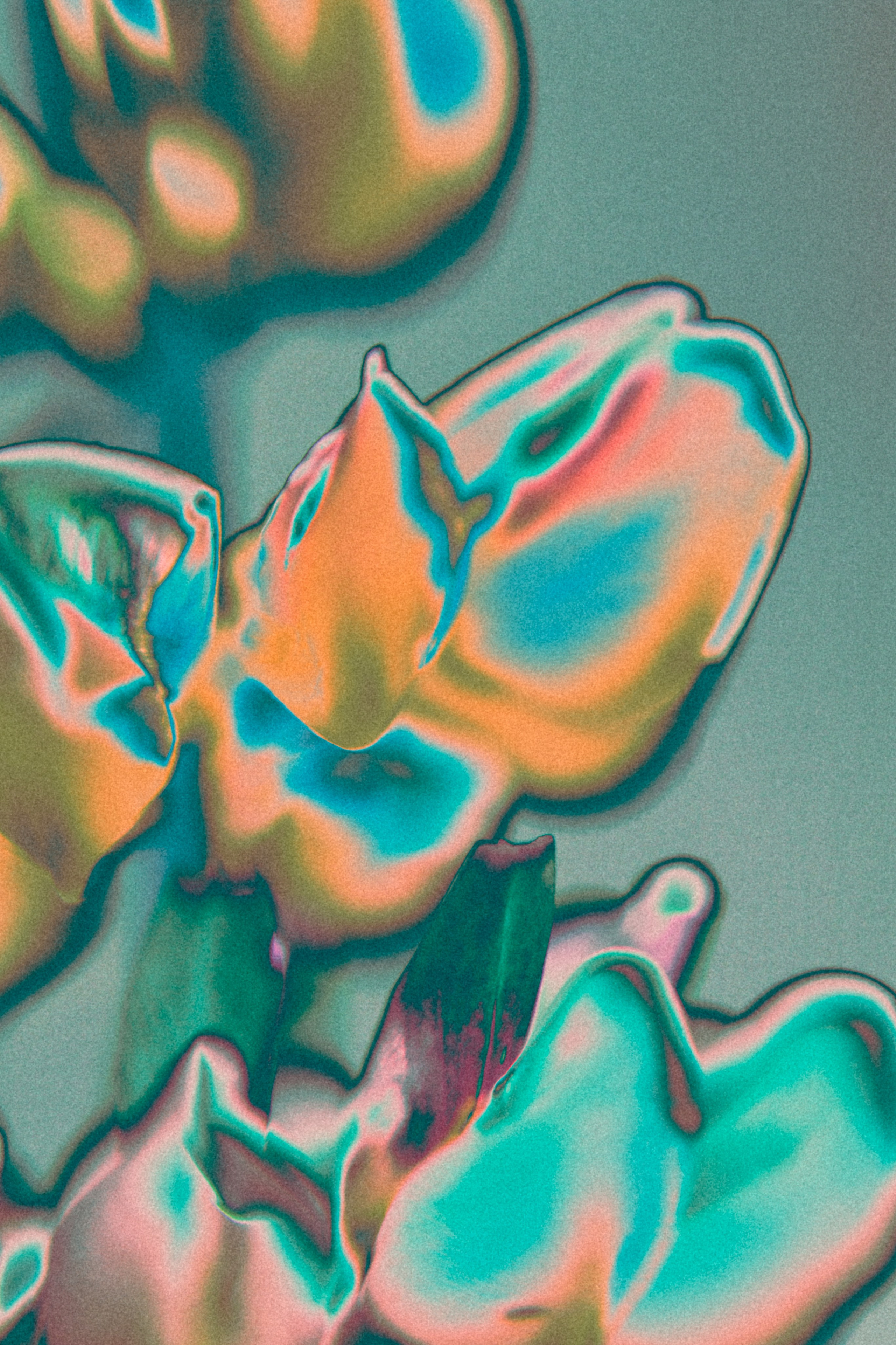 NON-EXISTENT FLOWERS. Фотограф Евгений Чащихин RGB АРХИТЕКТОР в Перми