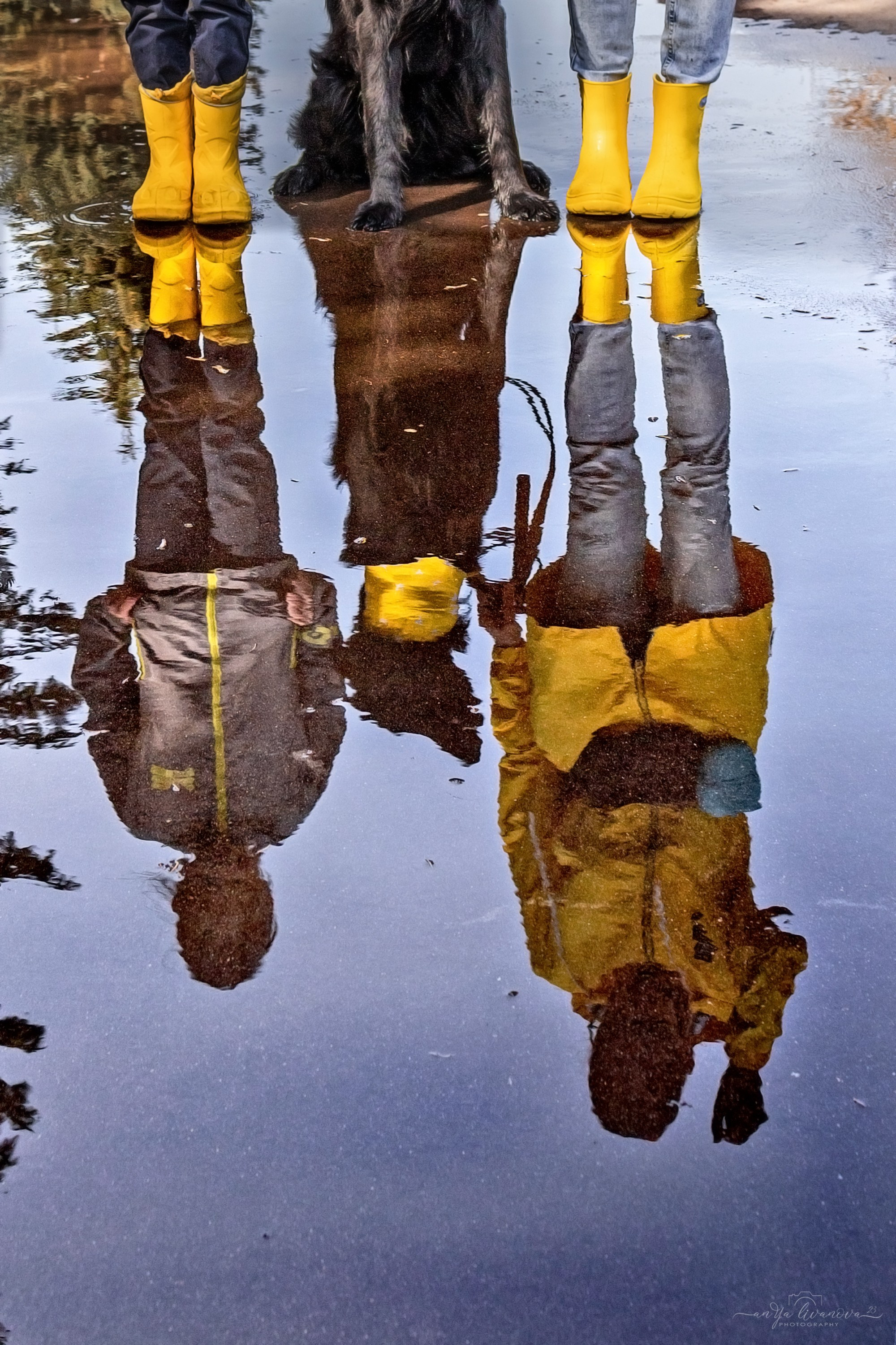 Солнышки. Фотограф анималист Аня Ливанова | Рыбинск