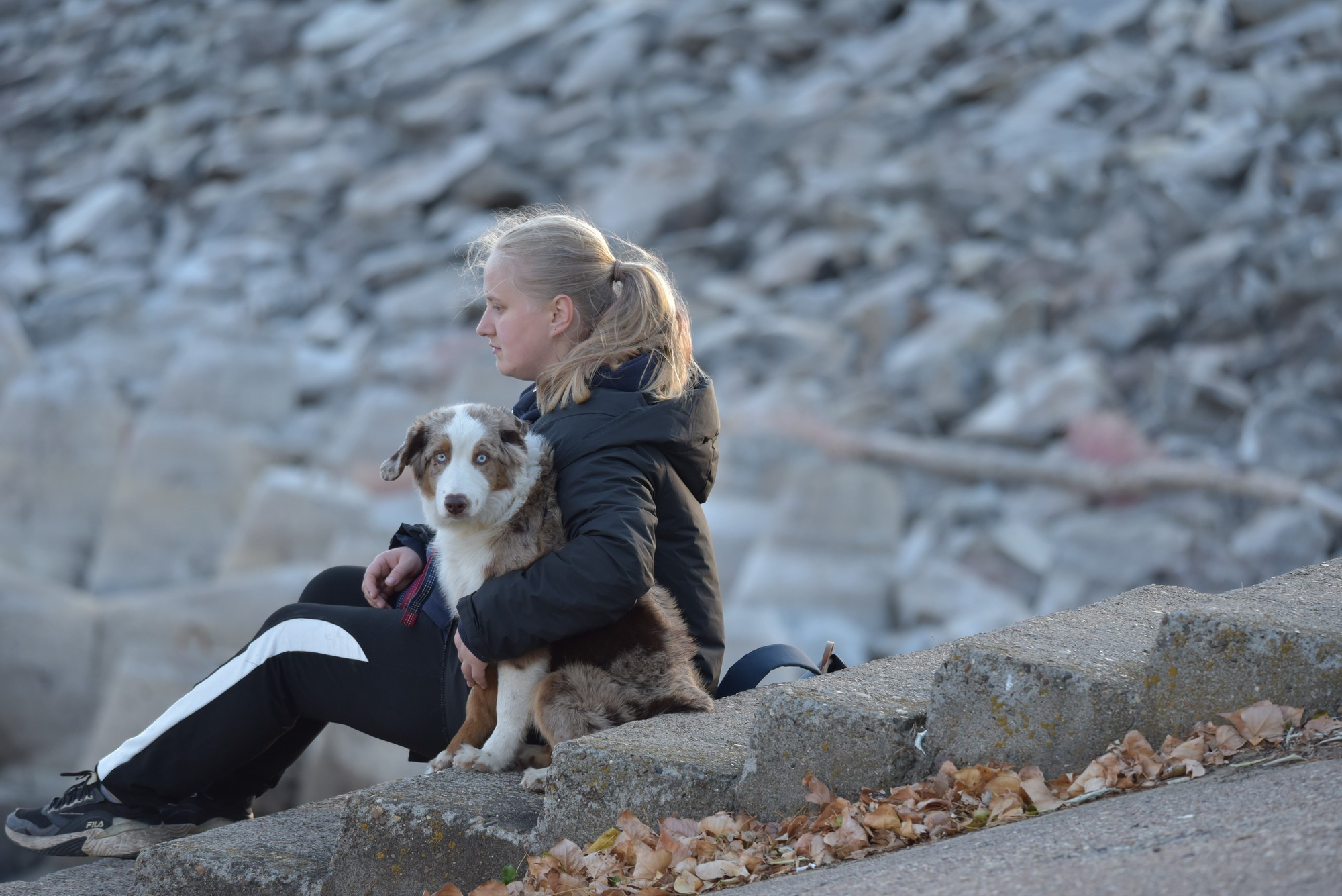 ФОТОСЪЕМКА С СОБАКАМИ. Репортажный и предметный фотограф Ольга Доловова в Ульяновске