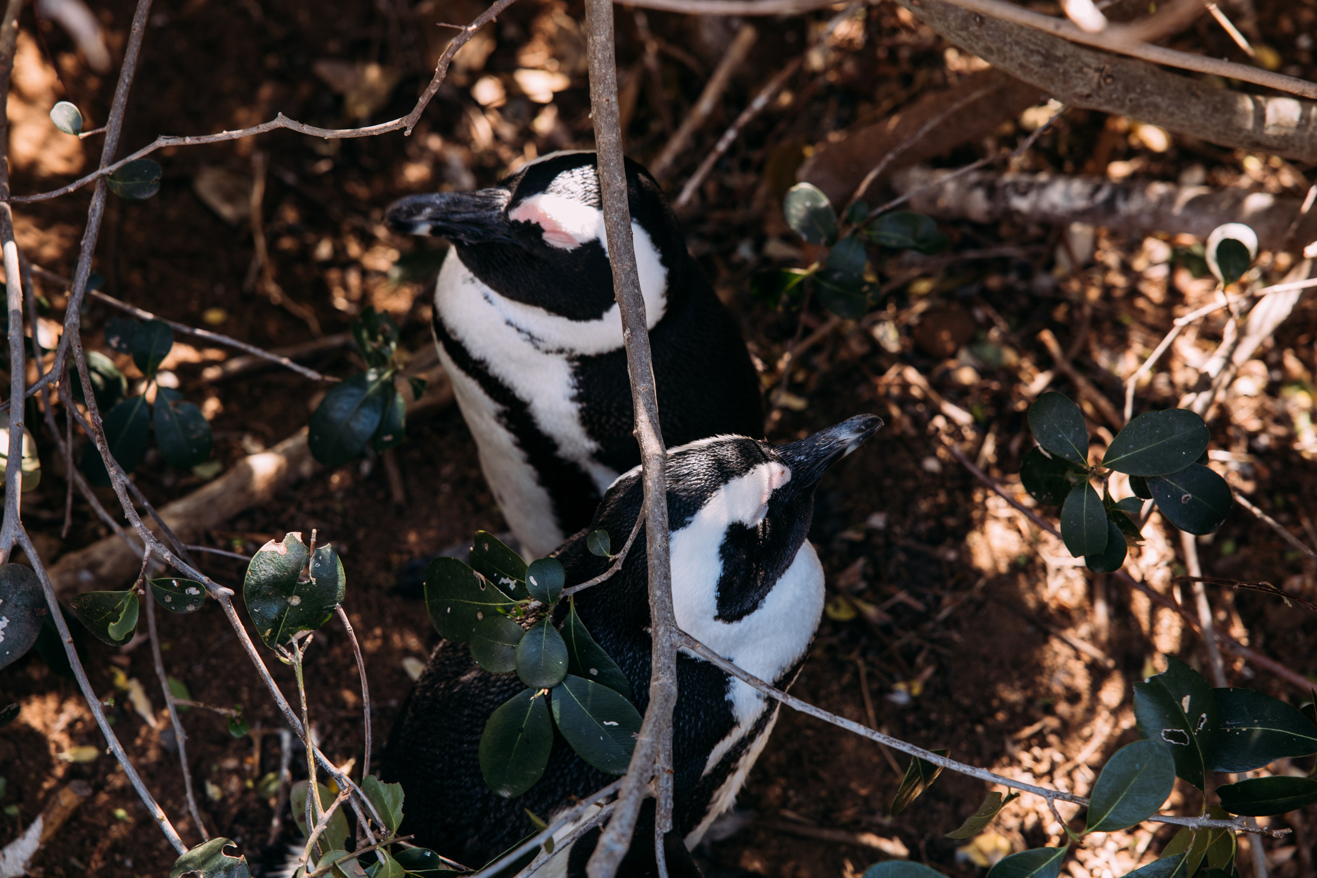 ФОТО ТУРЫ ПО МИРУ. Фотограф Марина Аблаева-Кожедуб