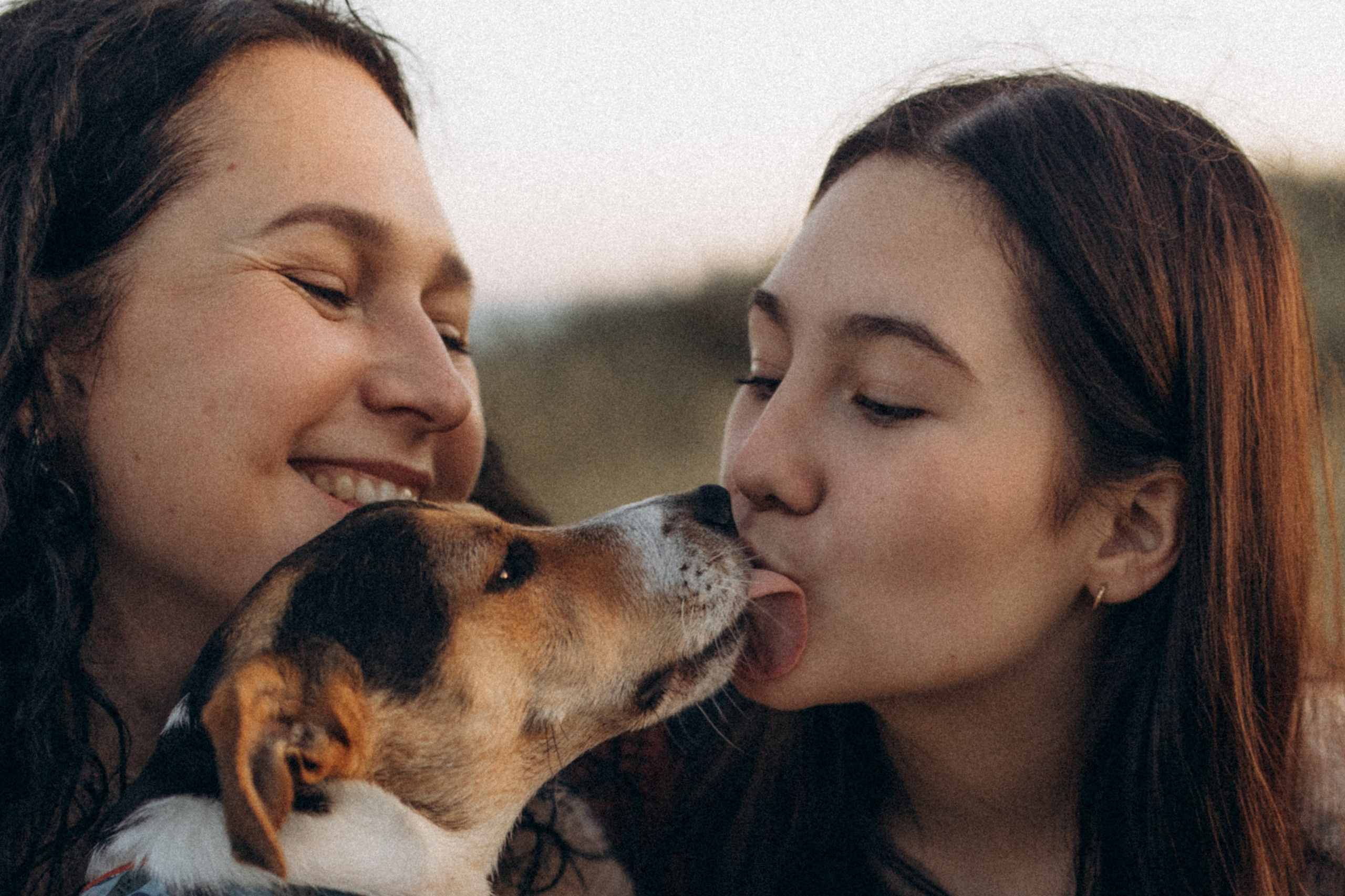 Юля, Милана, Тимур и Добби, осенняя история. Семейный фотограф lifestyle в Новосибирске Елена Шпилевая