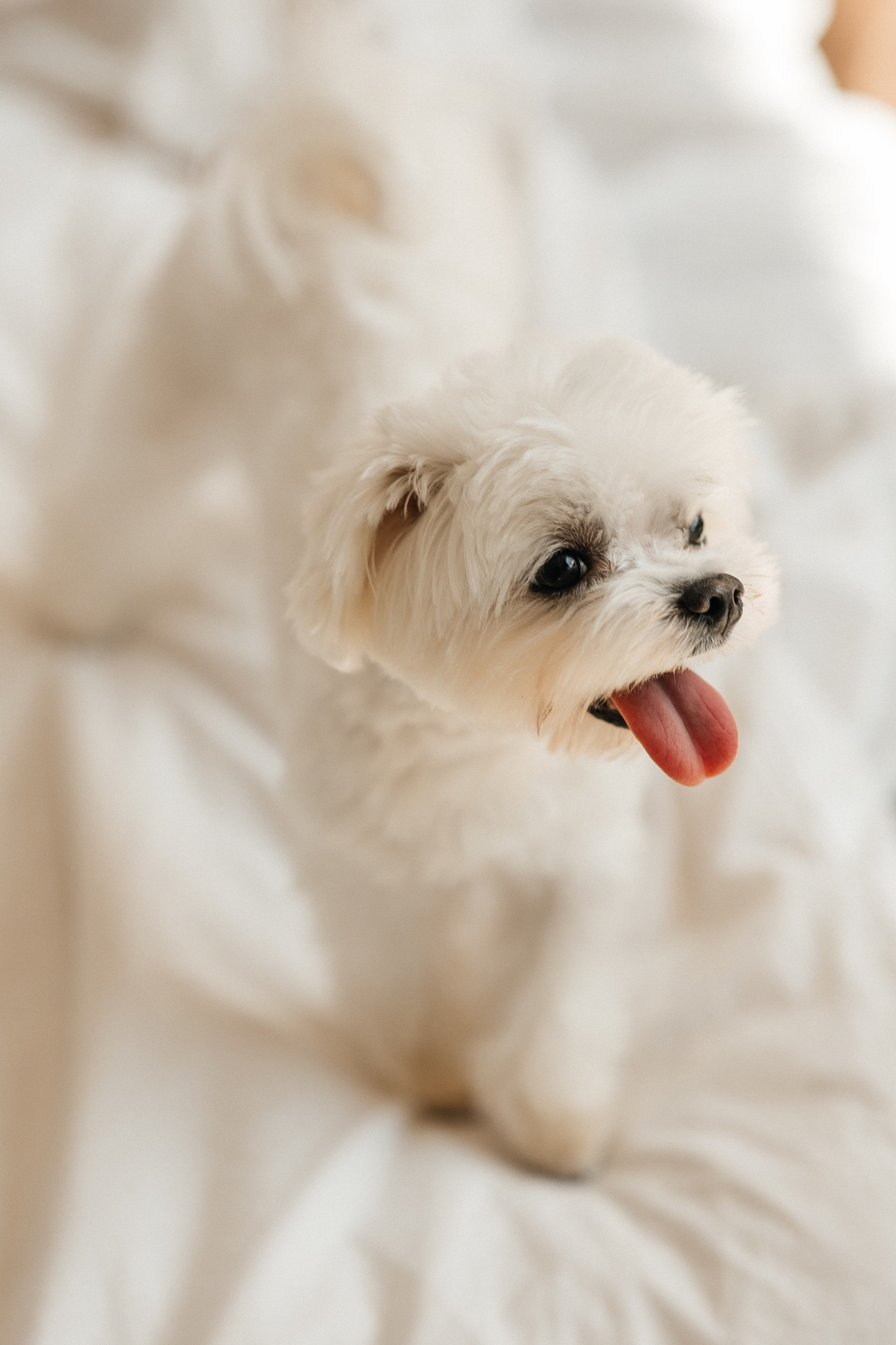 Владислав & Ксения. СВАДЕБНЫЙ ФОТОГРАФ ЕВГЕНИЯ МОДИНА Ярославль