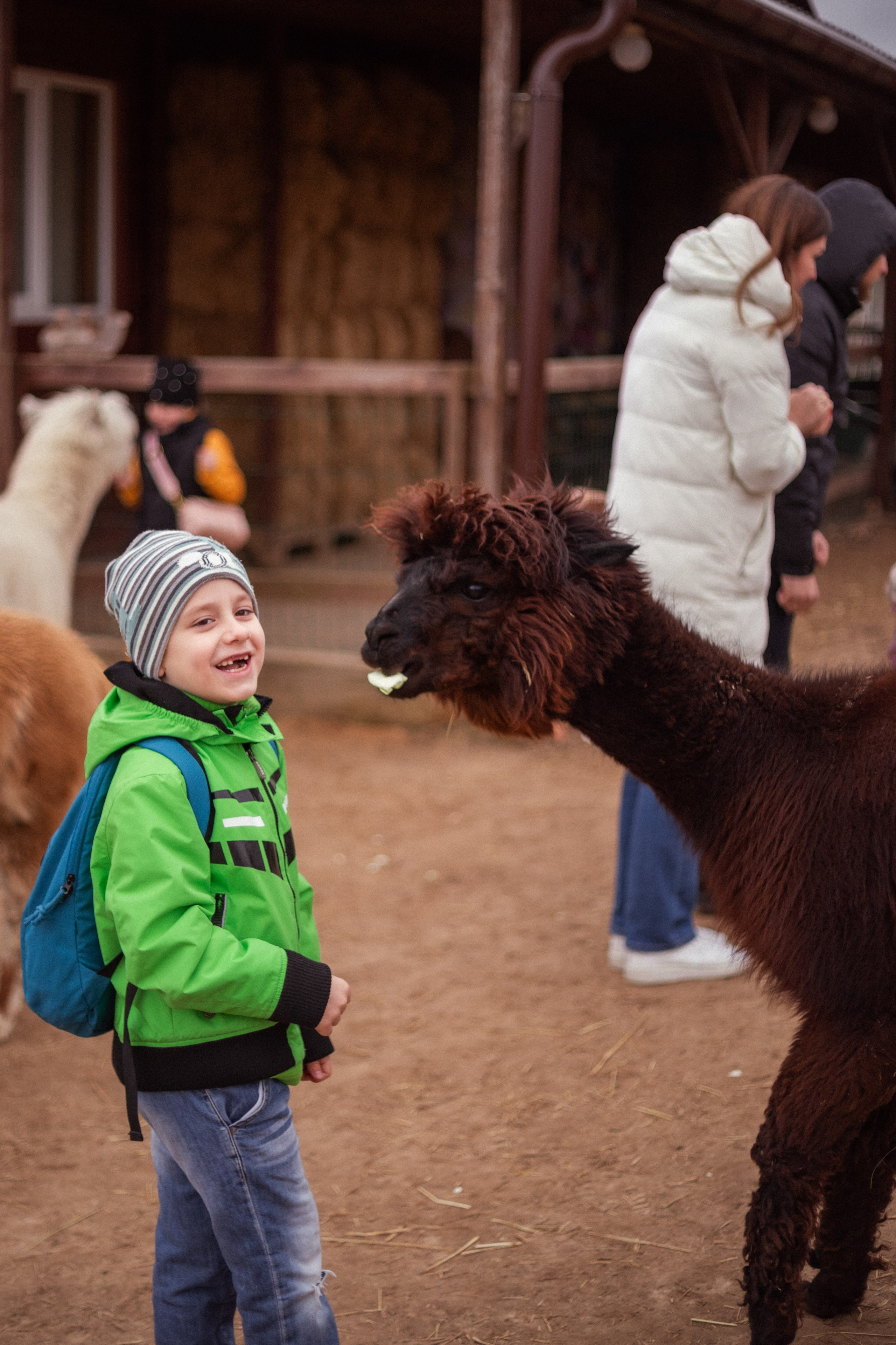 Разное. Фотограф Алина Лебедь