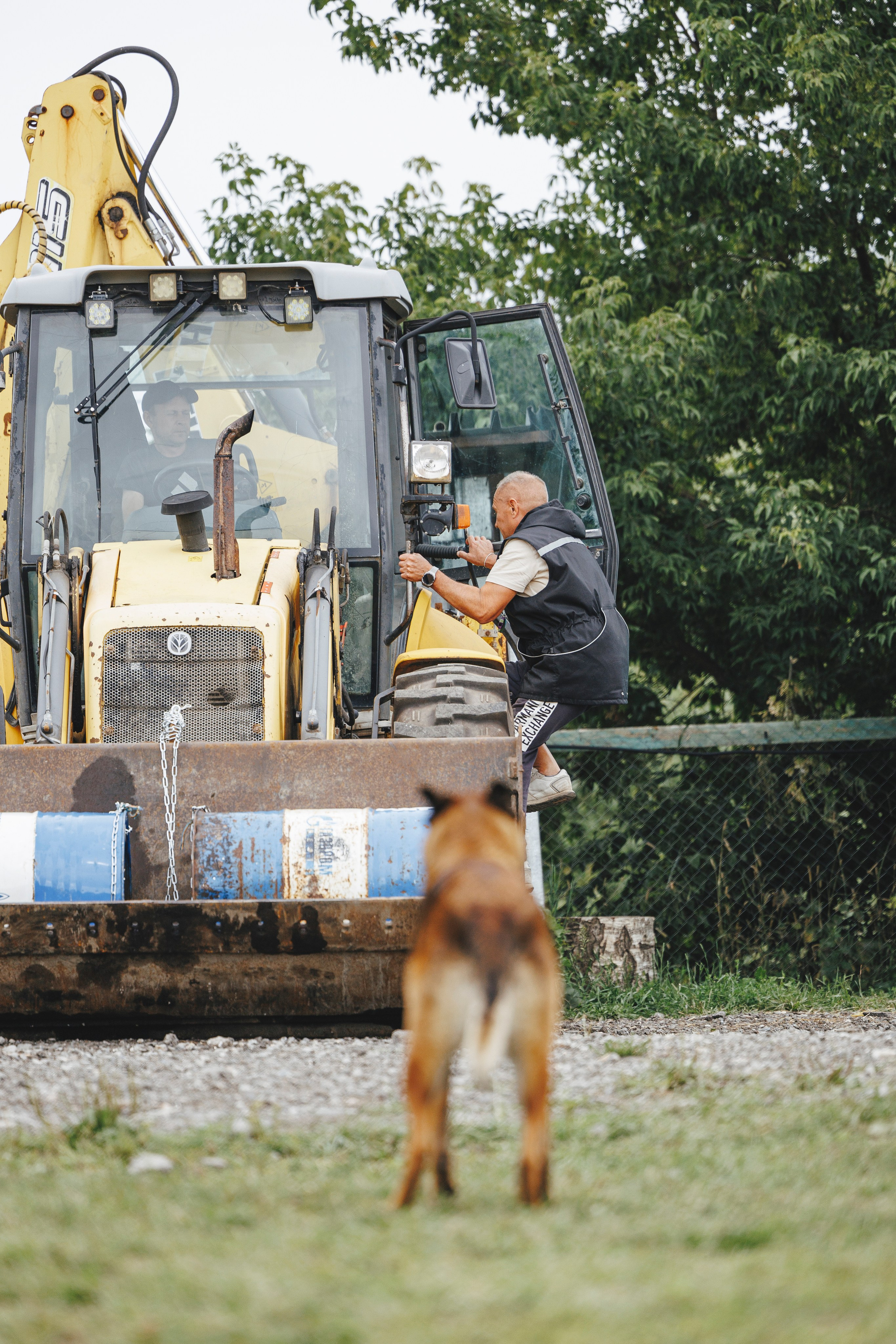 08.08.25-10.08.25 ЧР по мондьорингу г. Вологда. Фотограф-анималист Анна Маринич