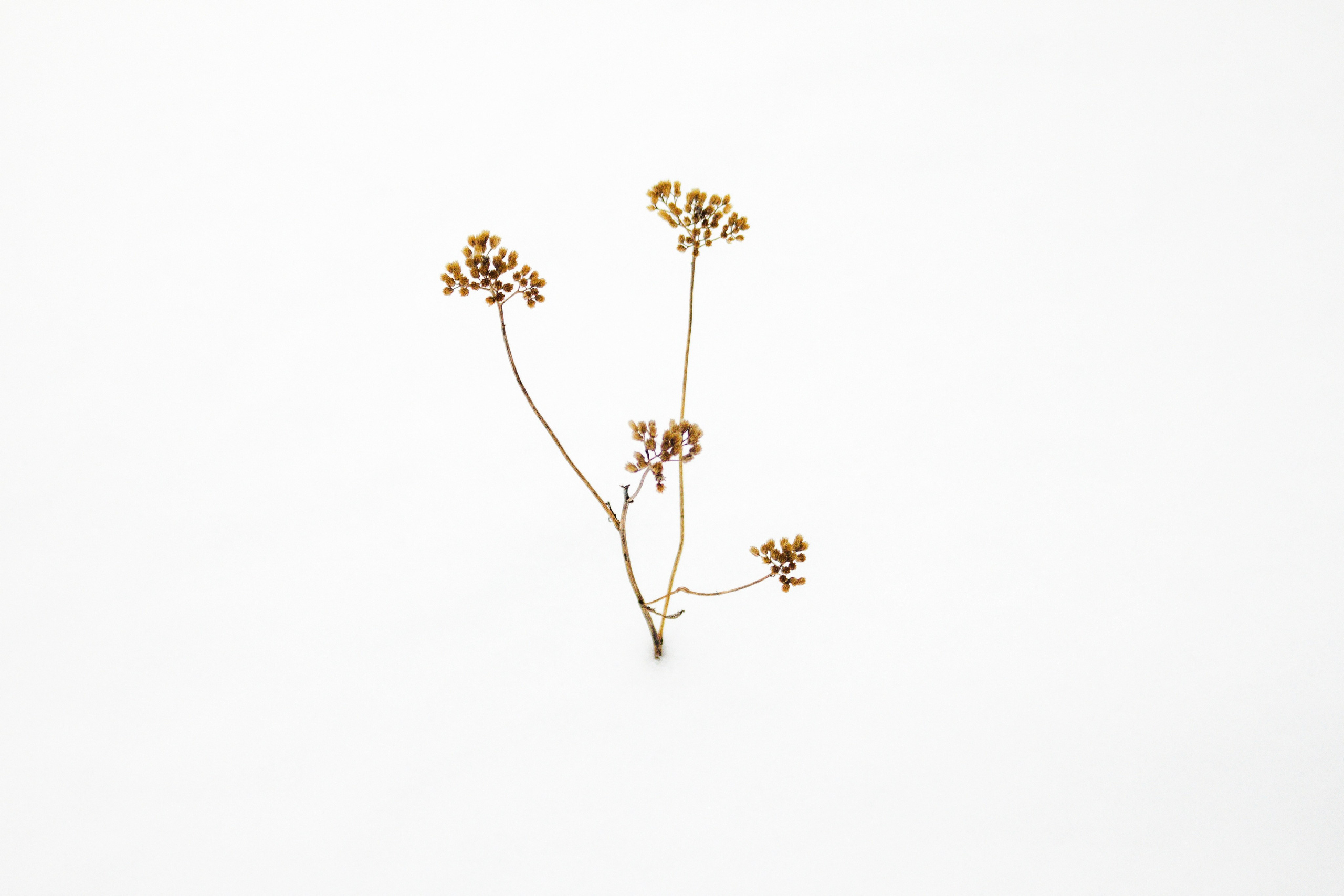 Этот прекрасный мир