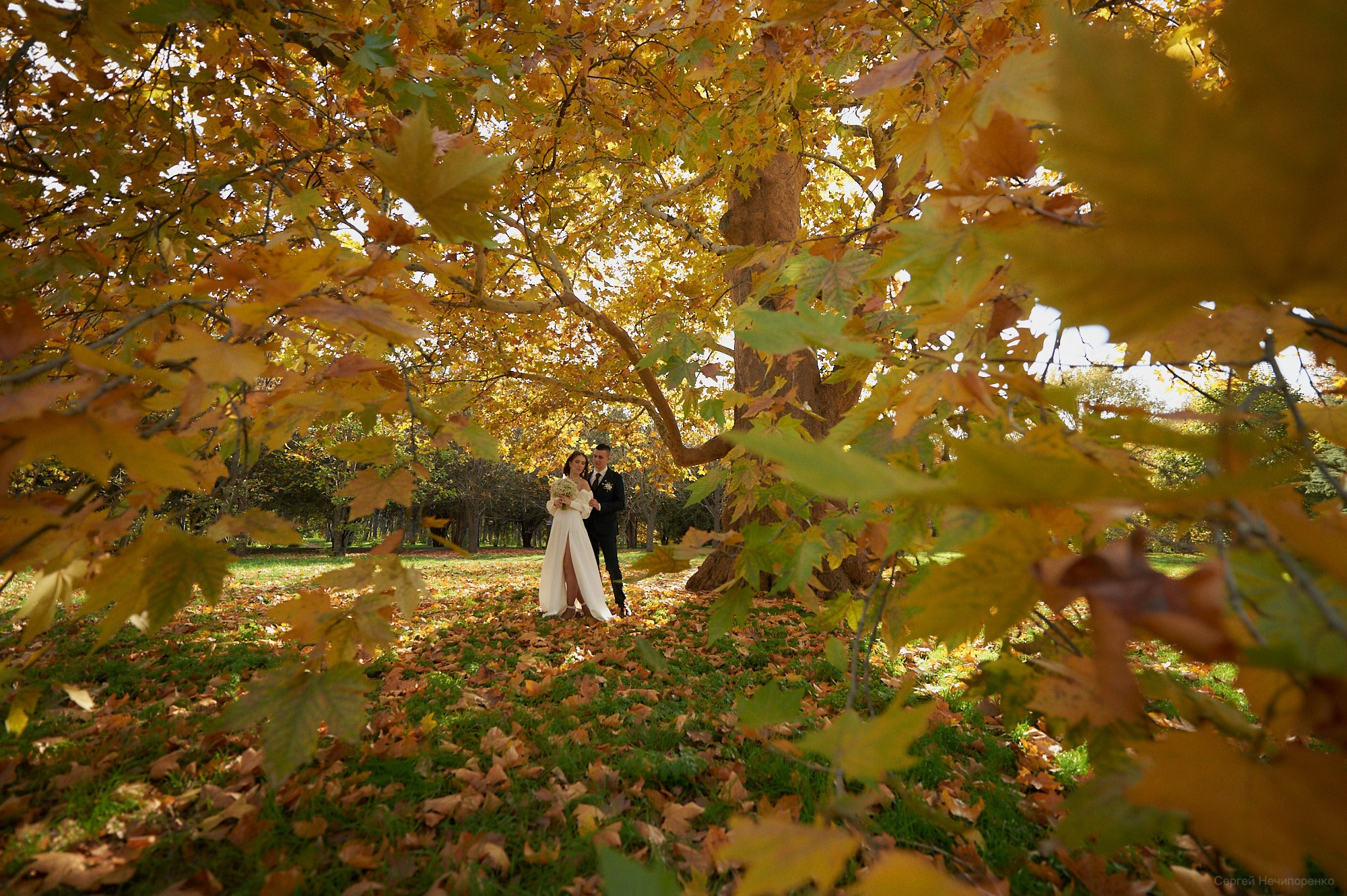 Свадебные съемки. Портретный и свадебный фотограф в Крыму Симферополь Нечипоренко Сергей