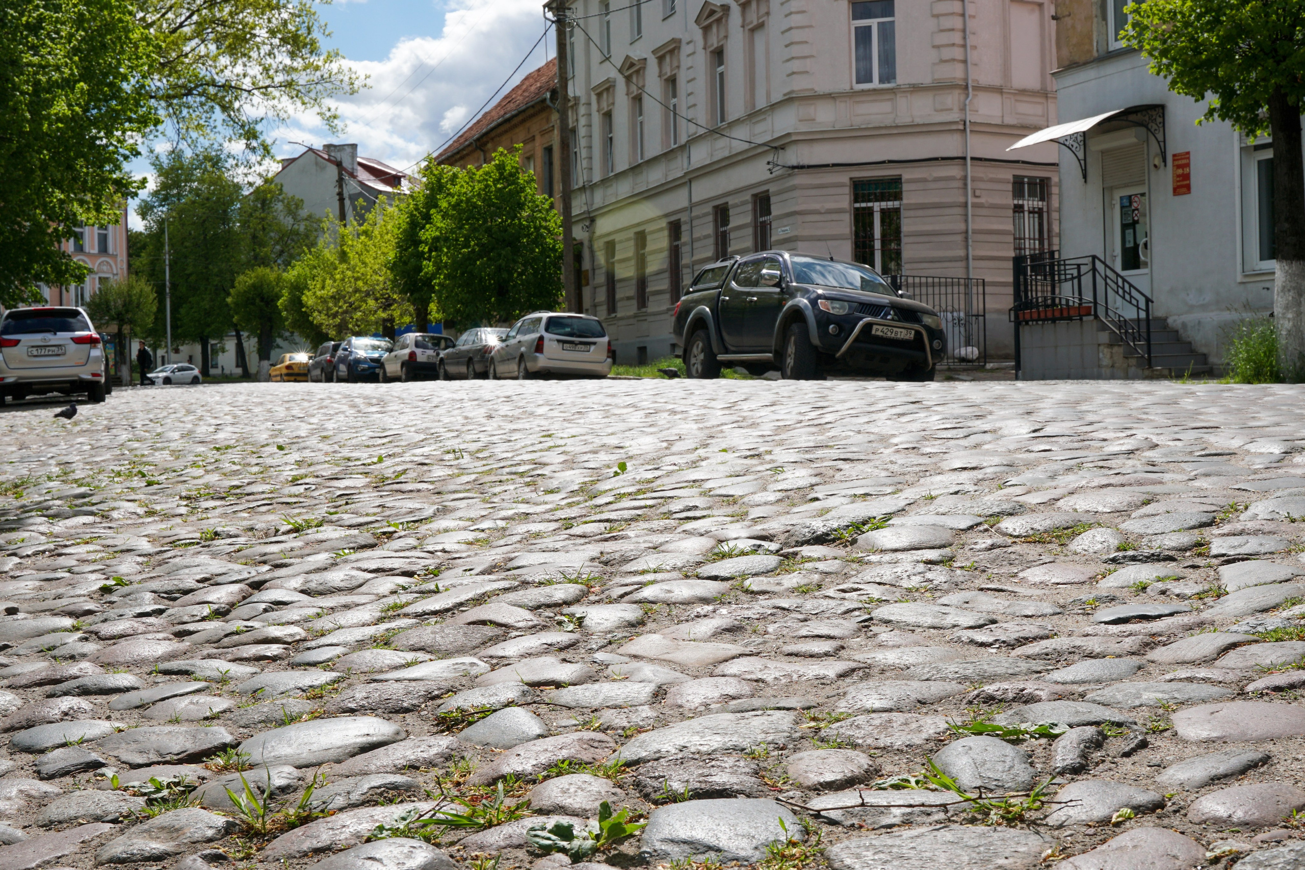 СОВЕТСК, ЧЕРНЯХОВСК. Фотограф Наталья Погодина в г. Обнинске